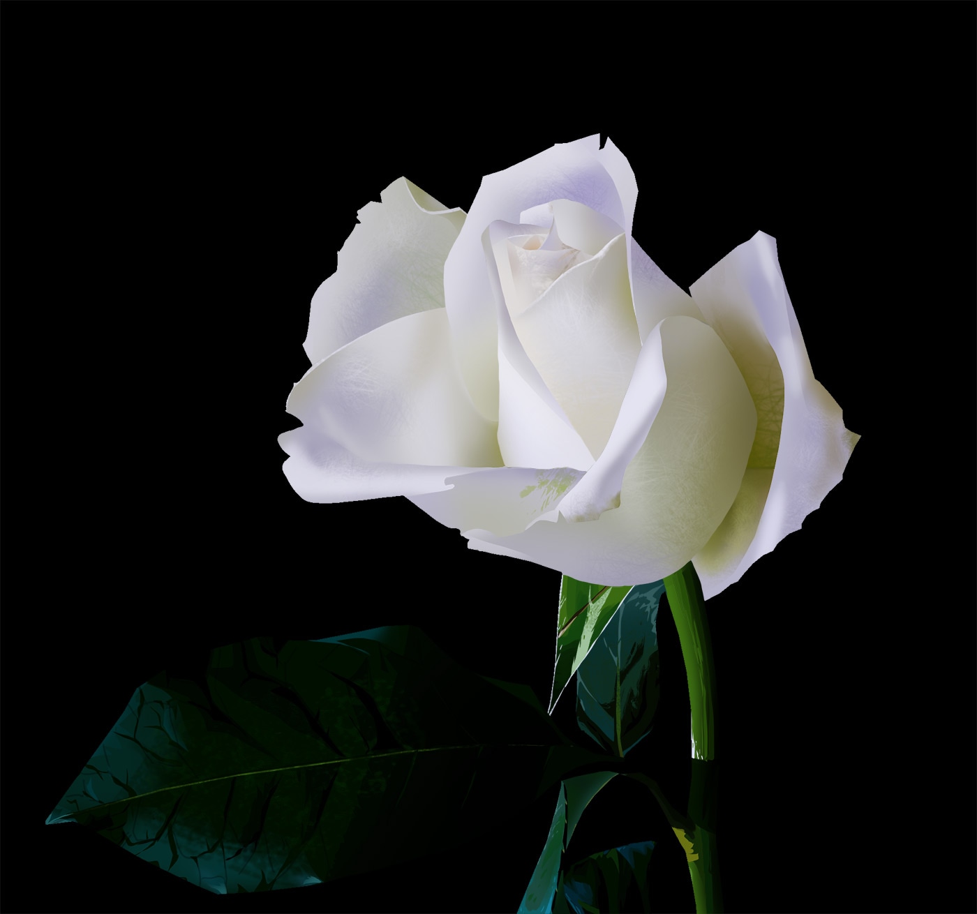 P1 - CH1 - Ex 3 : Rose par Chaber