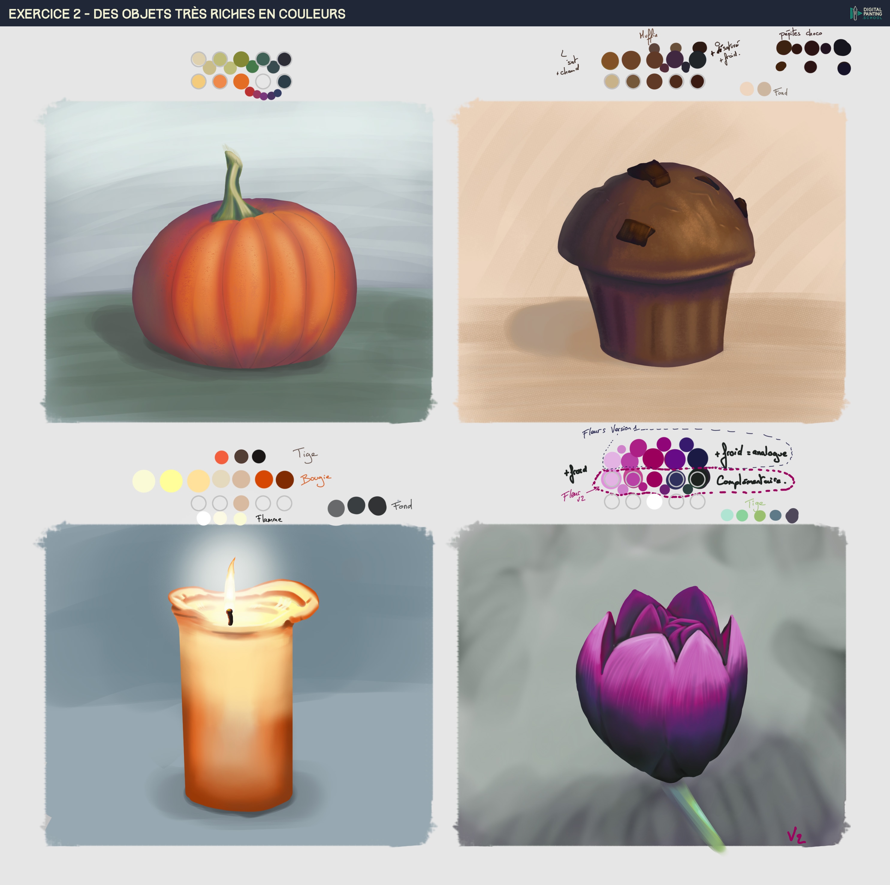 Chapitre7_ Exo2_ Meilleures couleurs par guiguilink