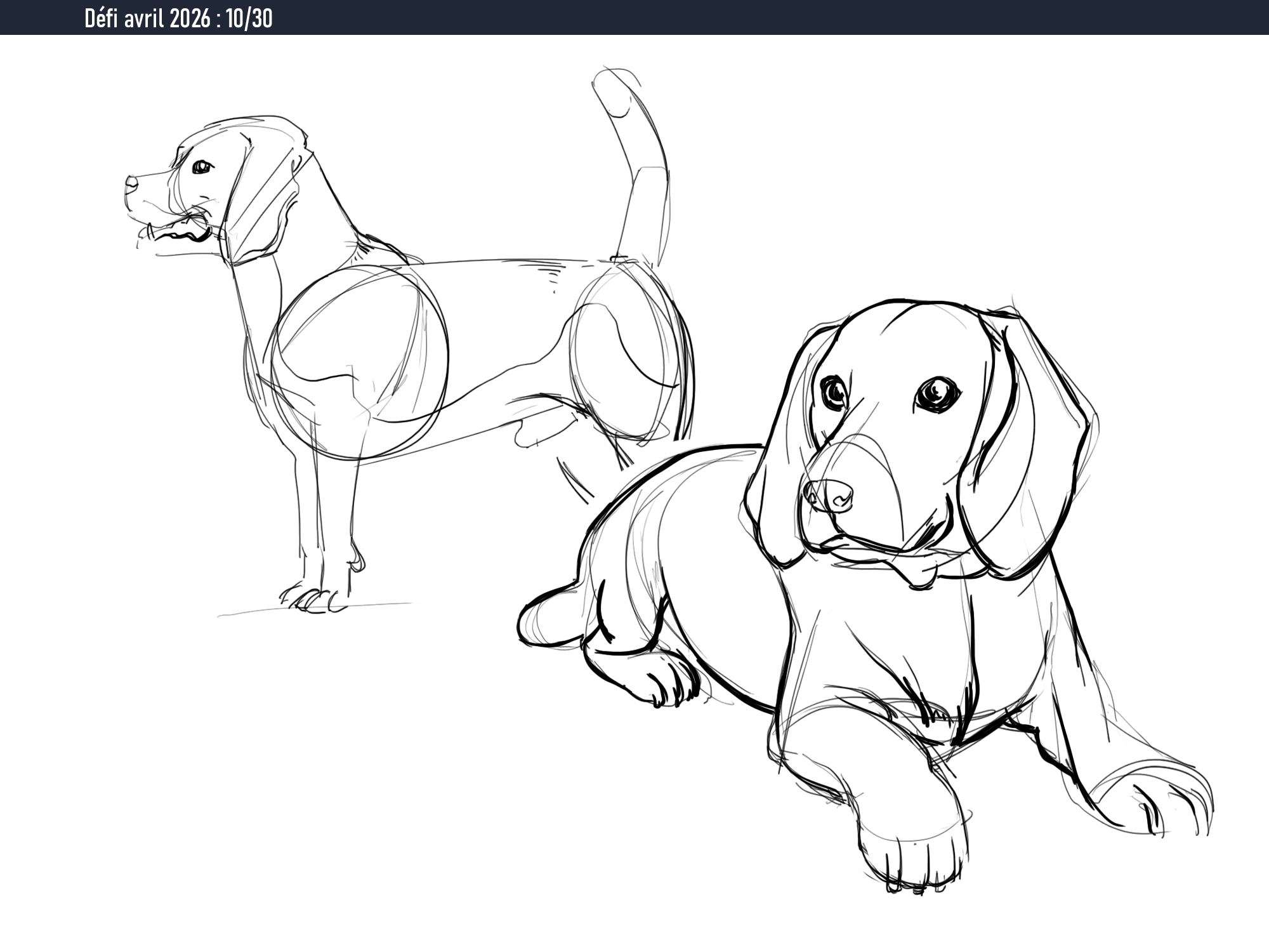 Défi avril 2026 - Pratique journalière par Chaber