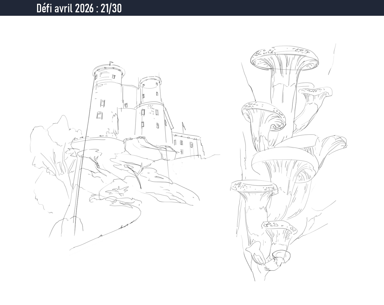Défi avril 2026 - Pratique journalière (2/2) par Chaber