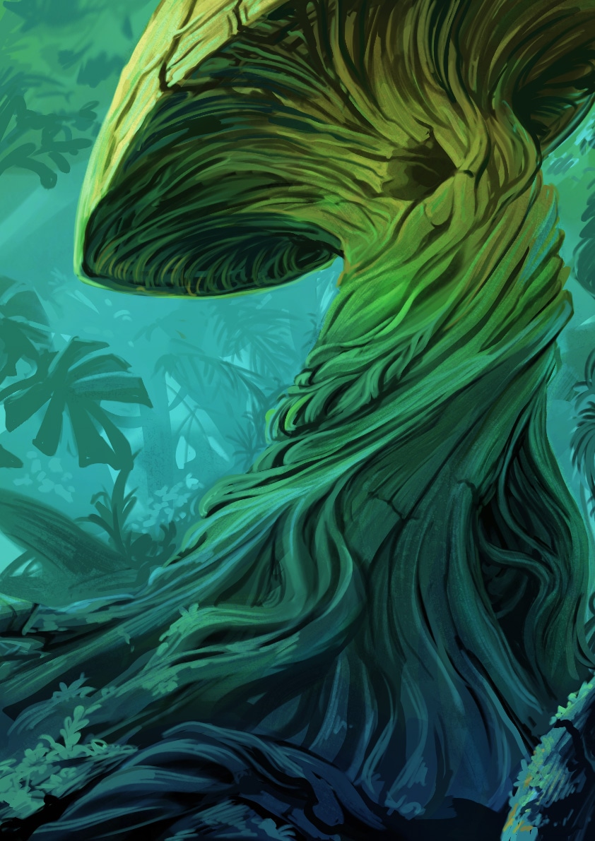 Illustration champignon par elodie_fb