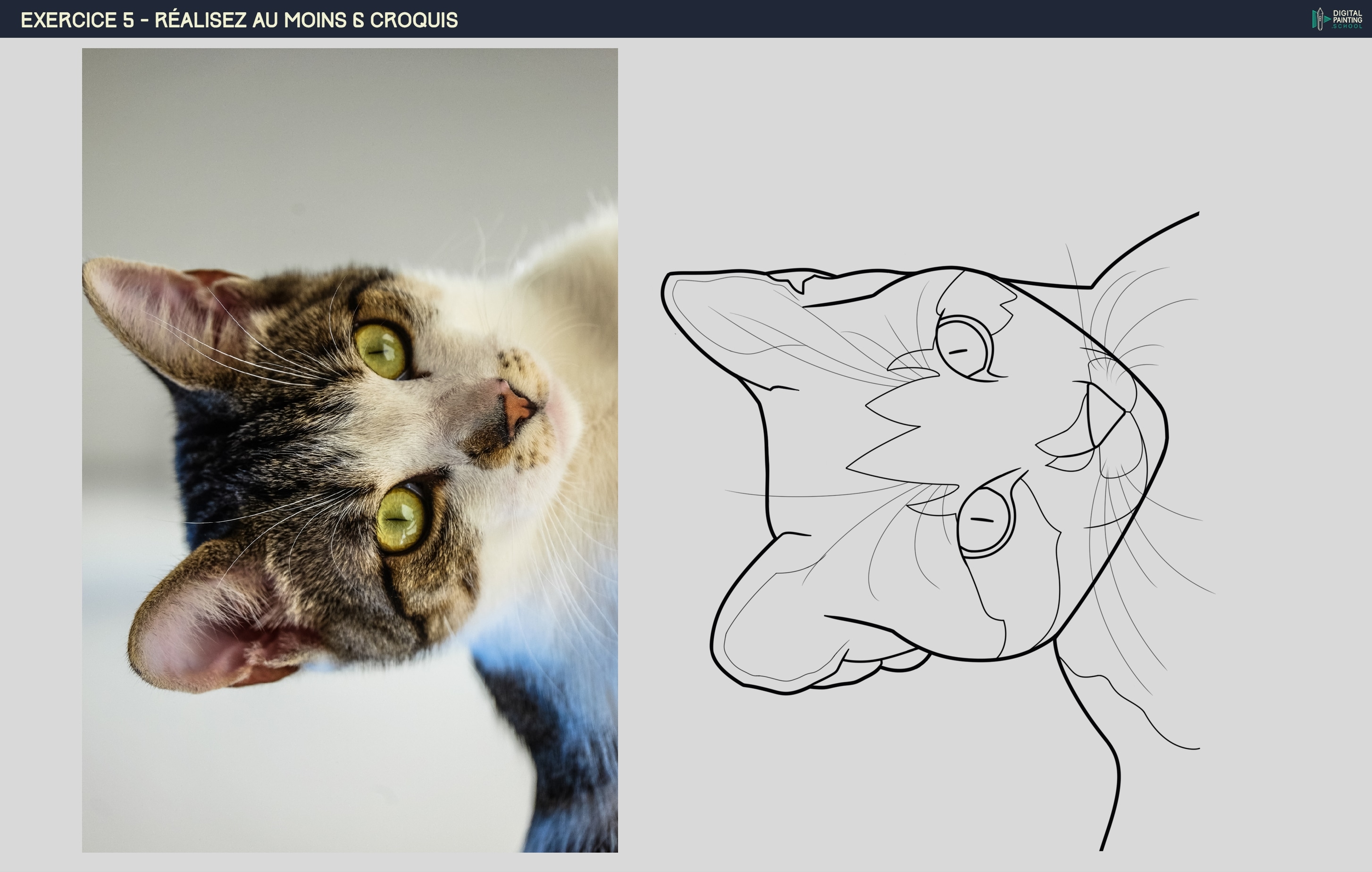 Chap 2 - EXO 5 - 6 Croquis par mylenelb