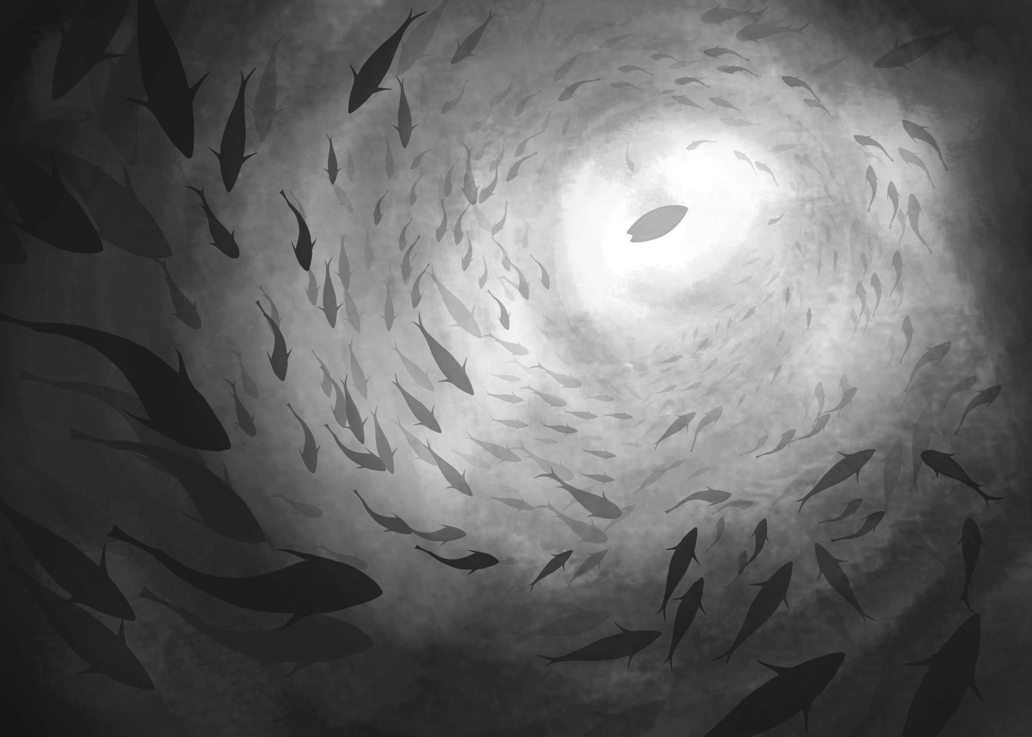 Chapitre 8 - Exercice 3 par Dylan T