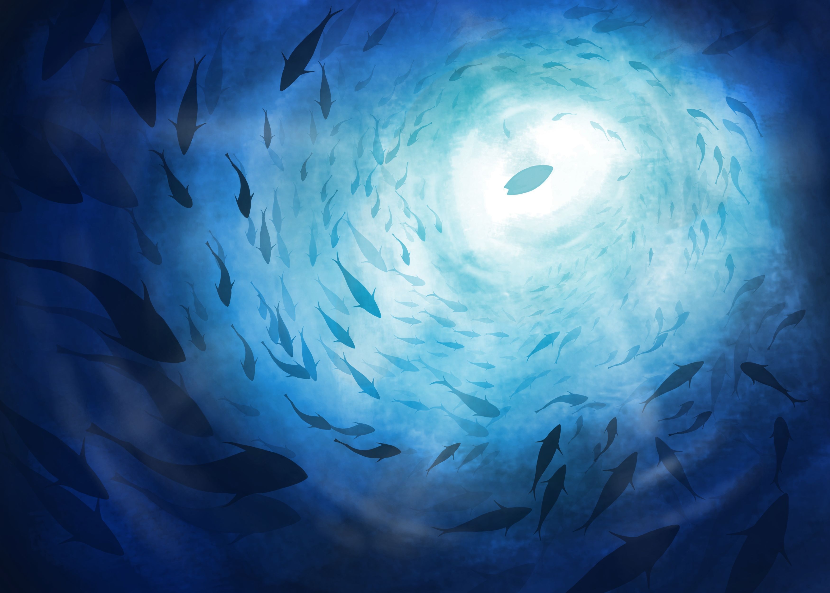 Chapitre 8 - Exercice 3 par Dylan T