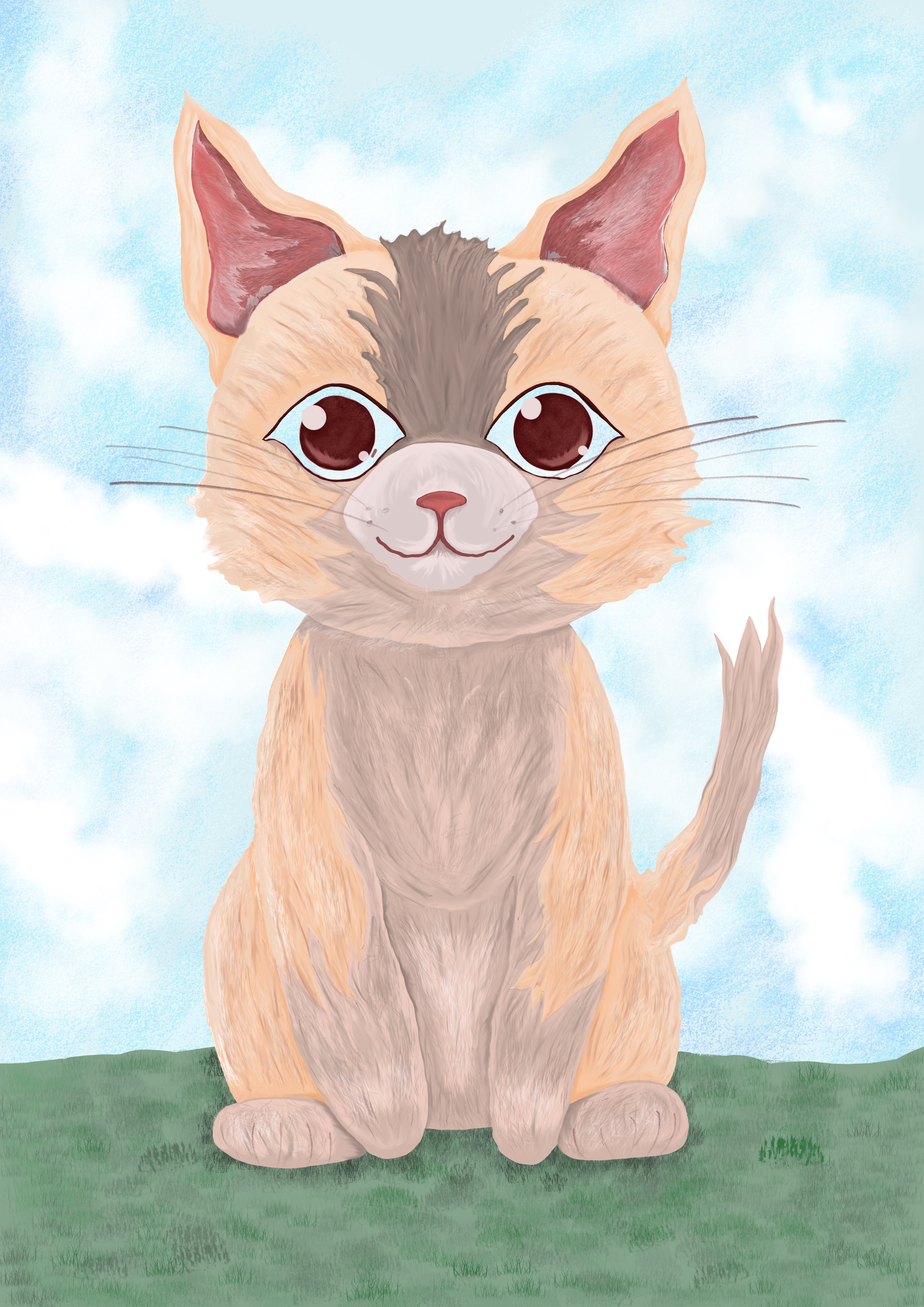 Mes débuts en DP - Début 2026 par Celine