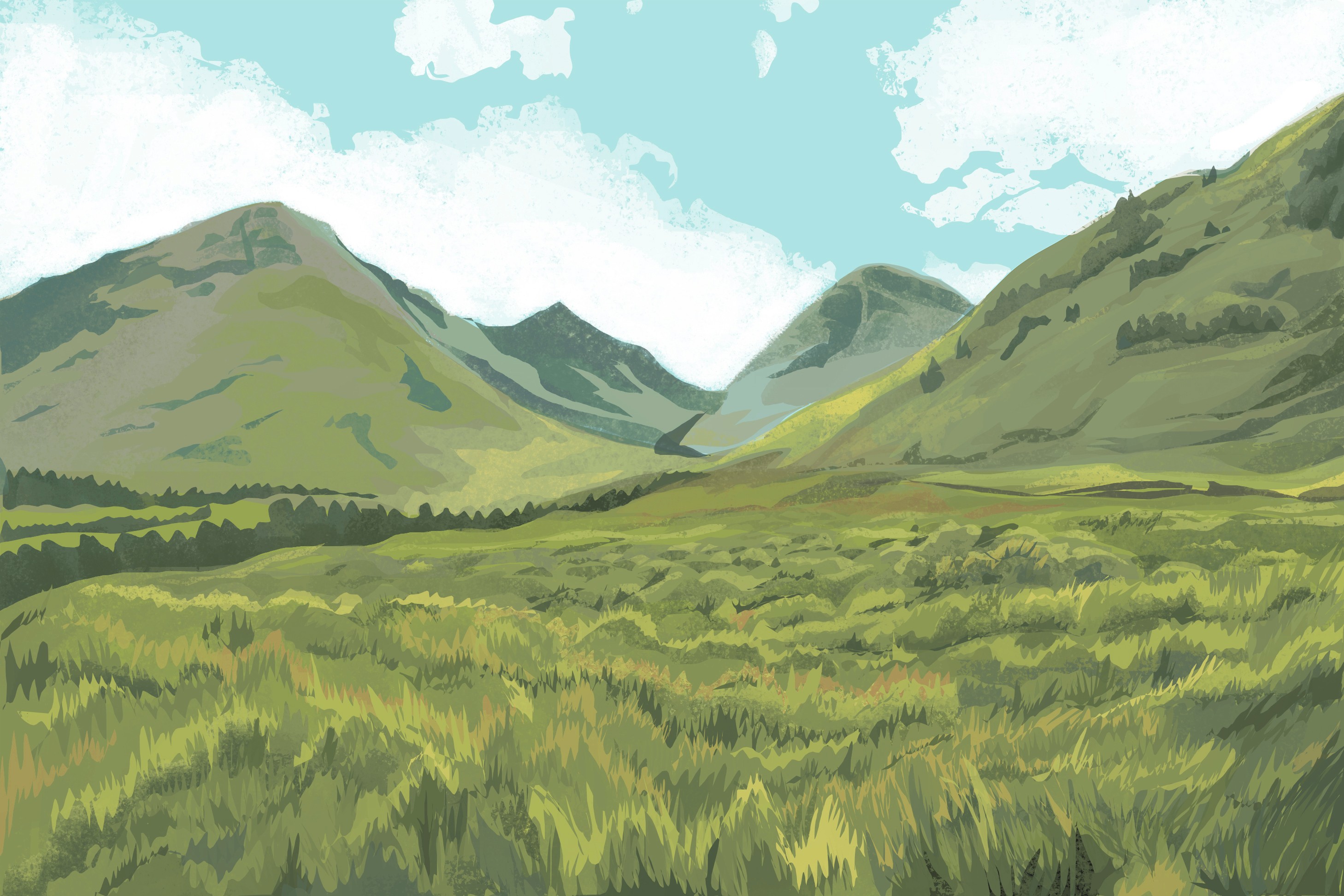 collines exercice au lasso par Redaldo