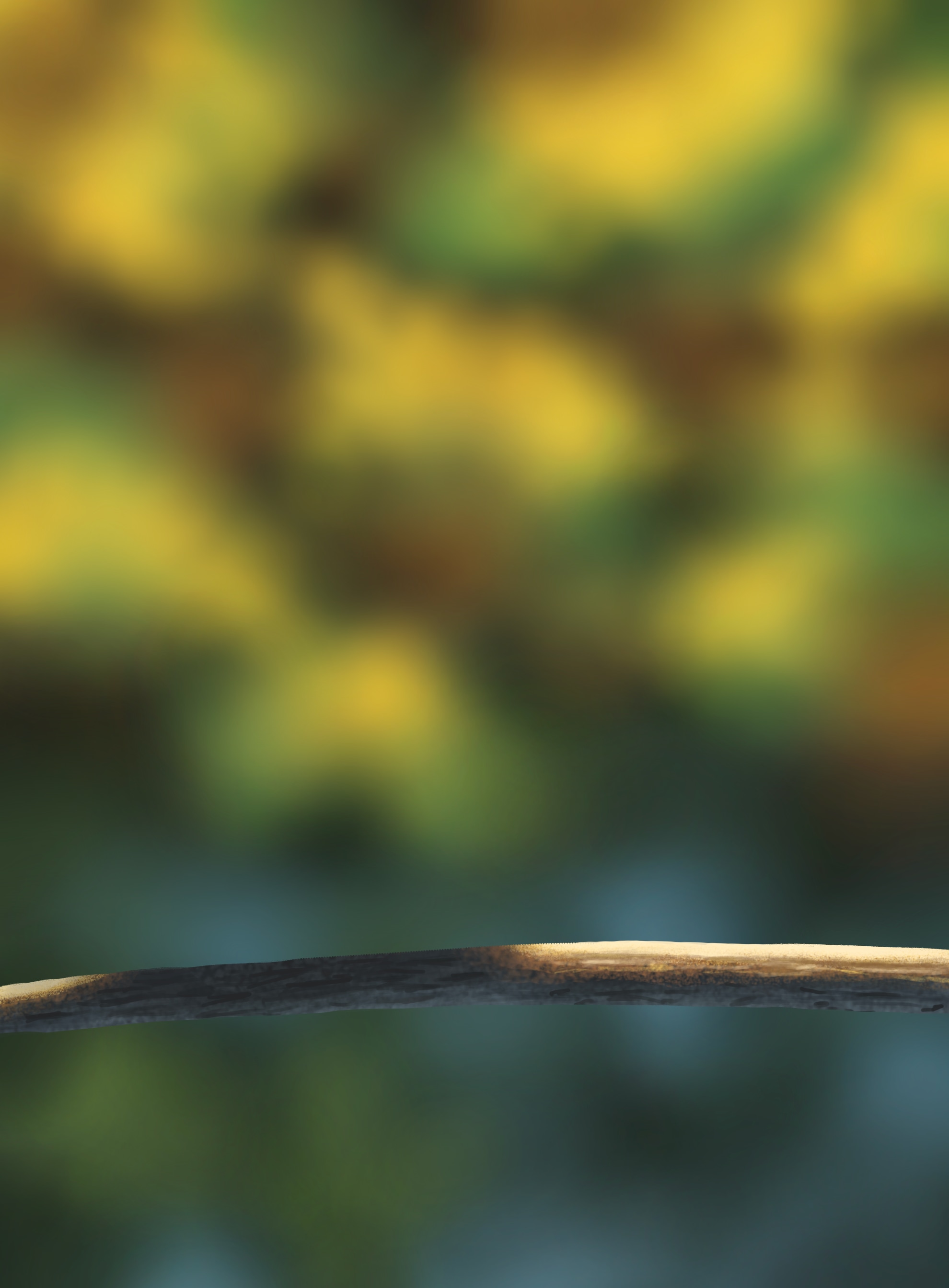 Les oisillons par ReiinoR