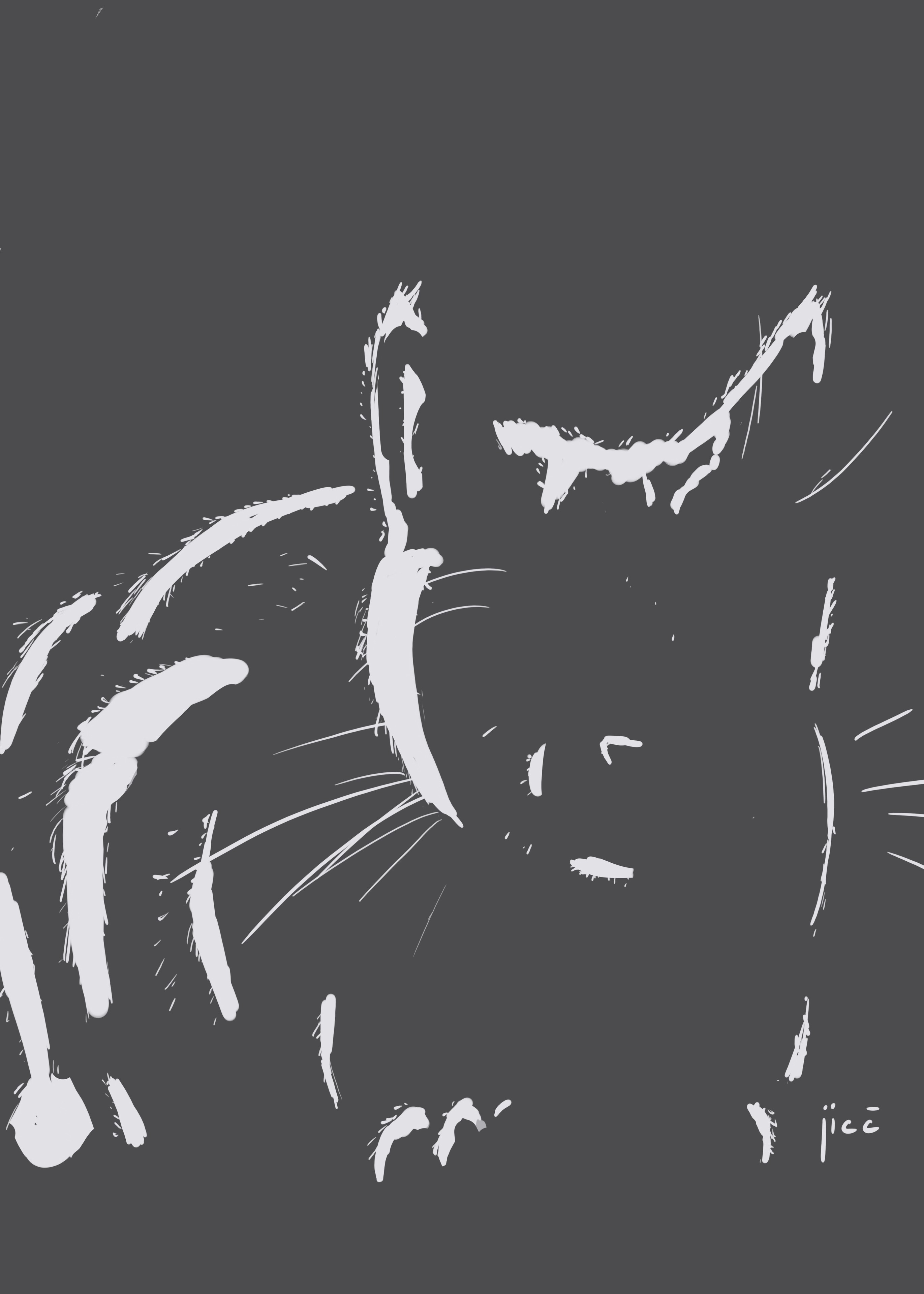 CHAT_2_VALEURS par Jicé