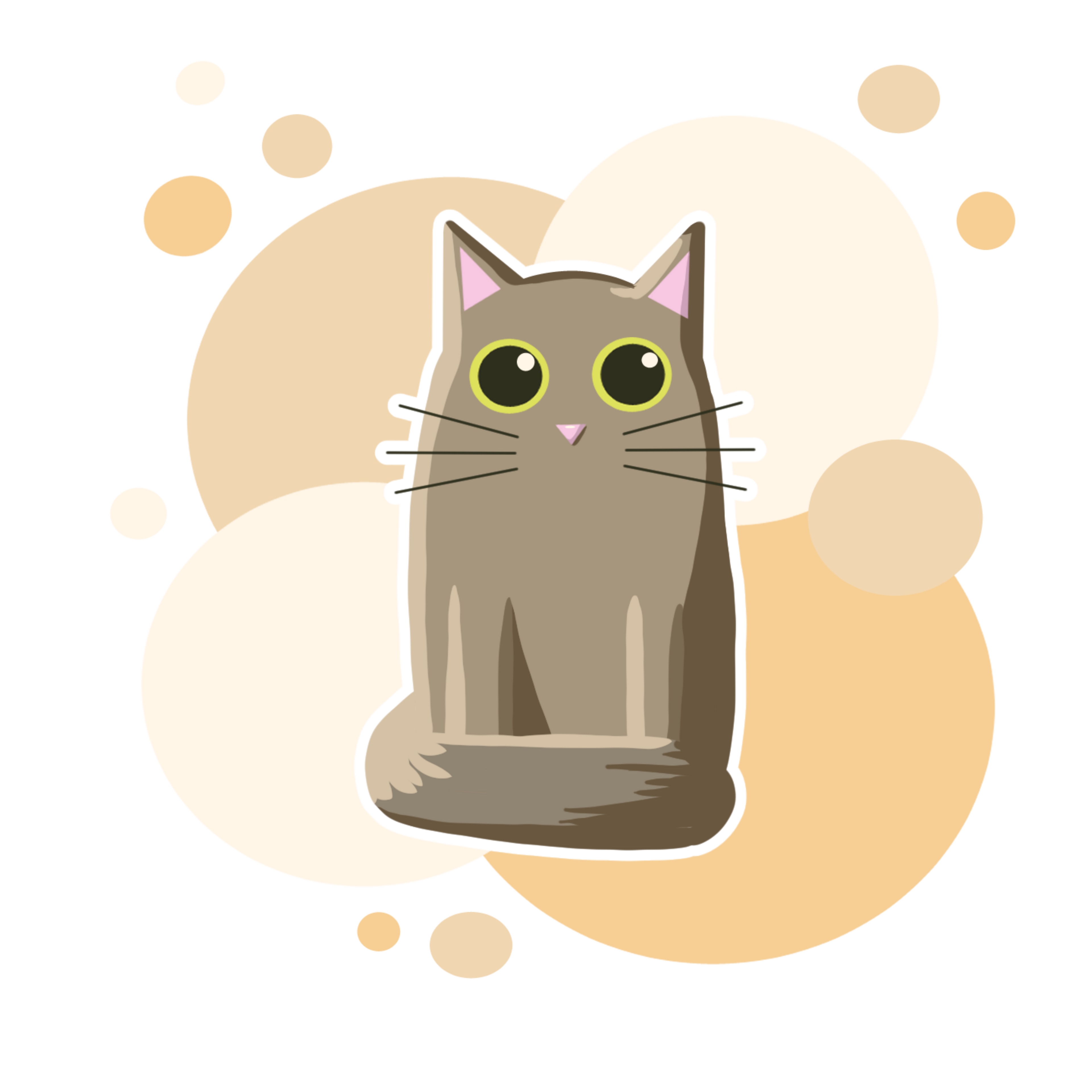 Un chat par holdwig