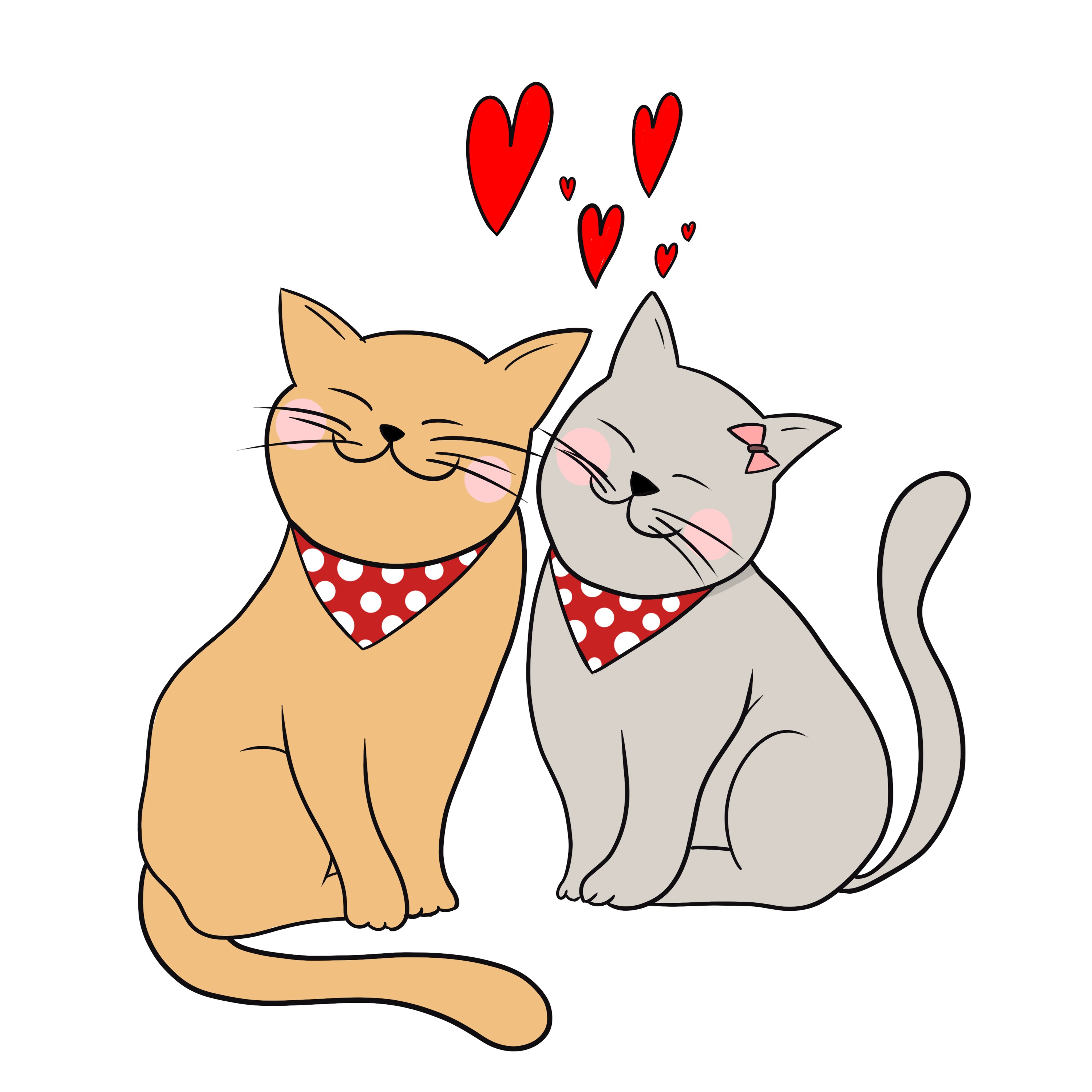 CHAT.psd par tom__fdr