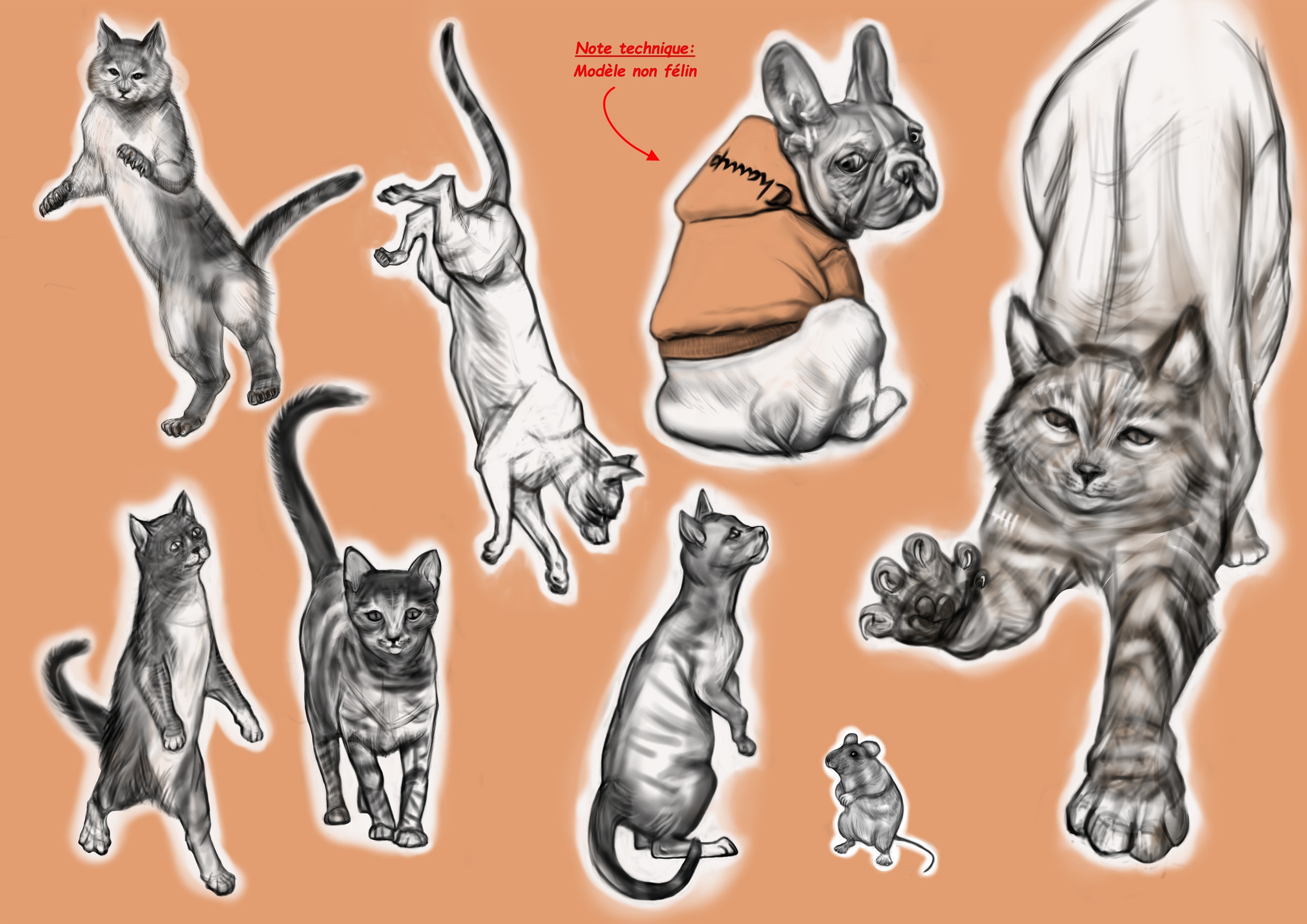 Défi de Mars 2026 : Anatomie Animalière par starman
