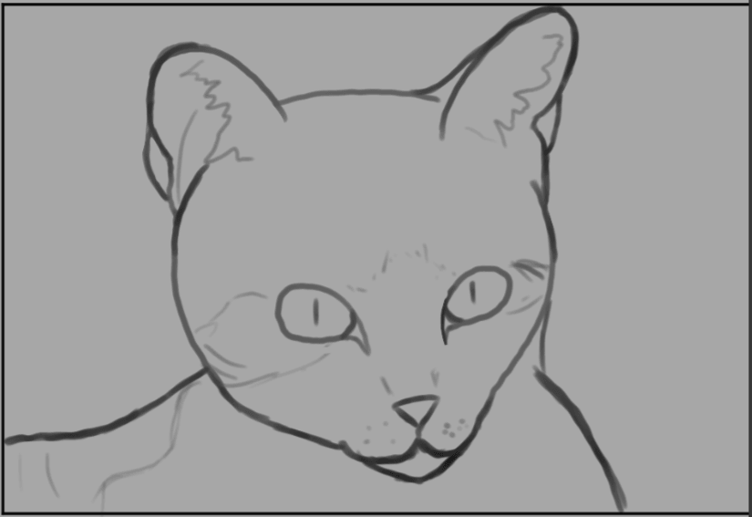 Exercice Croquis Chat par ravayra