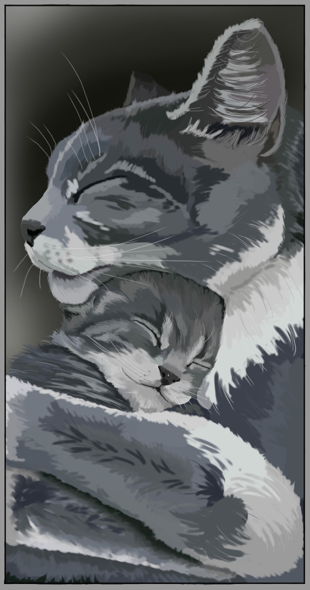 chaton par Northrend