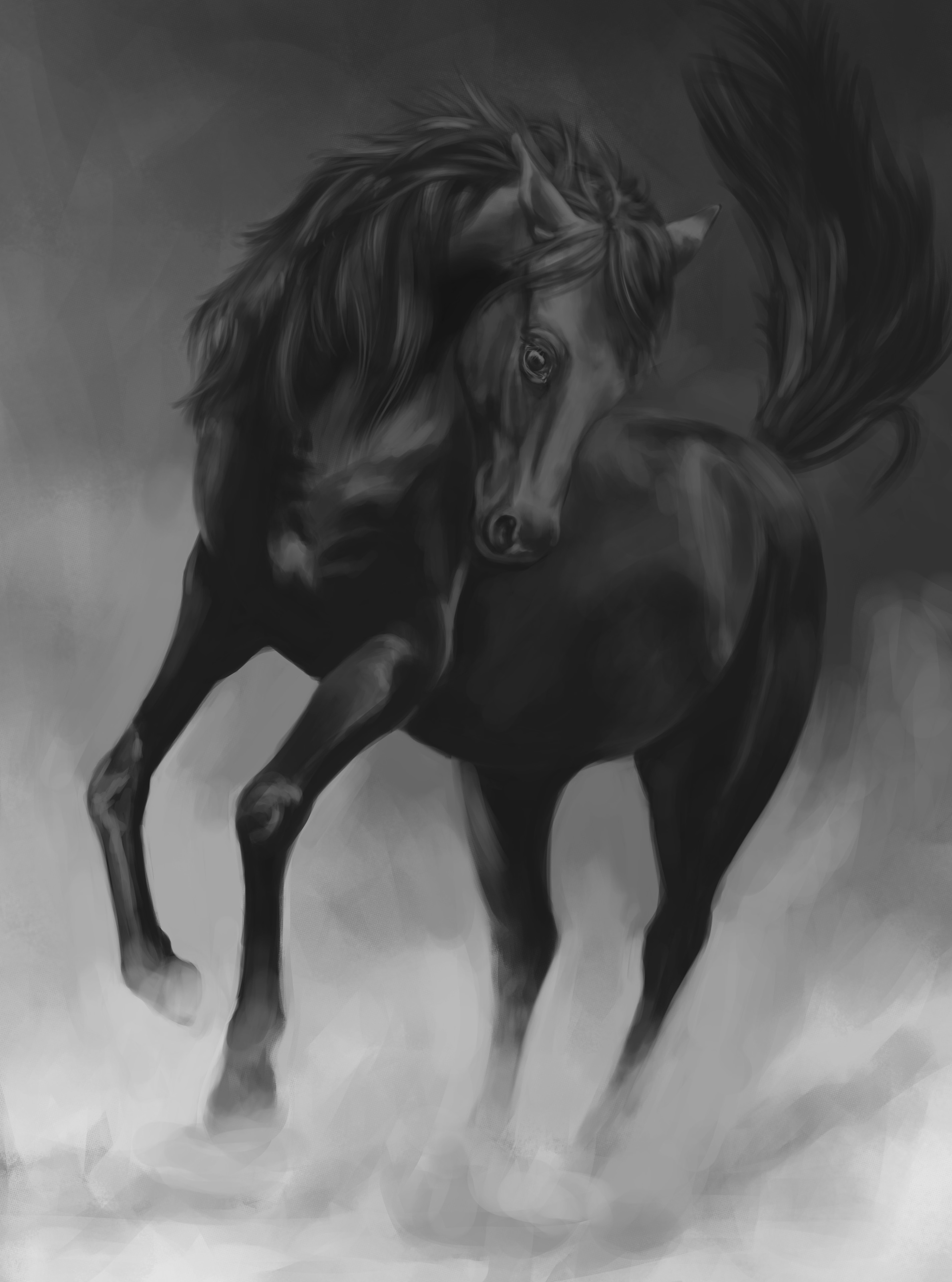 Ruade Cheval par Digitalis