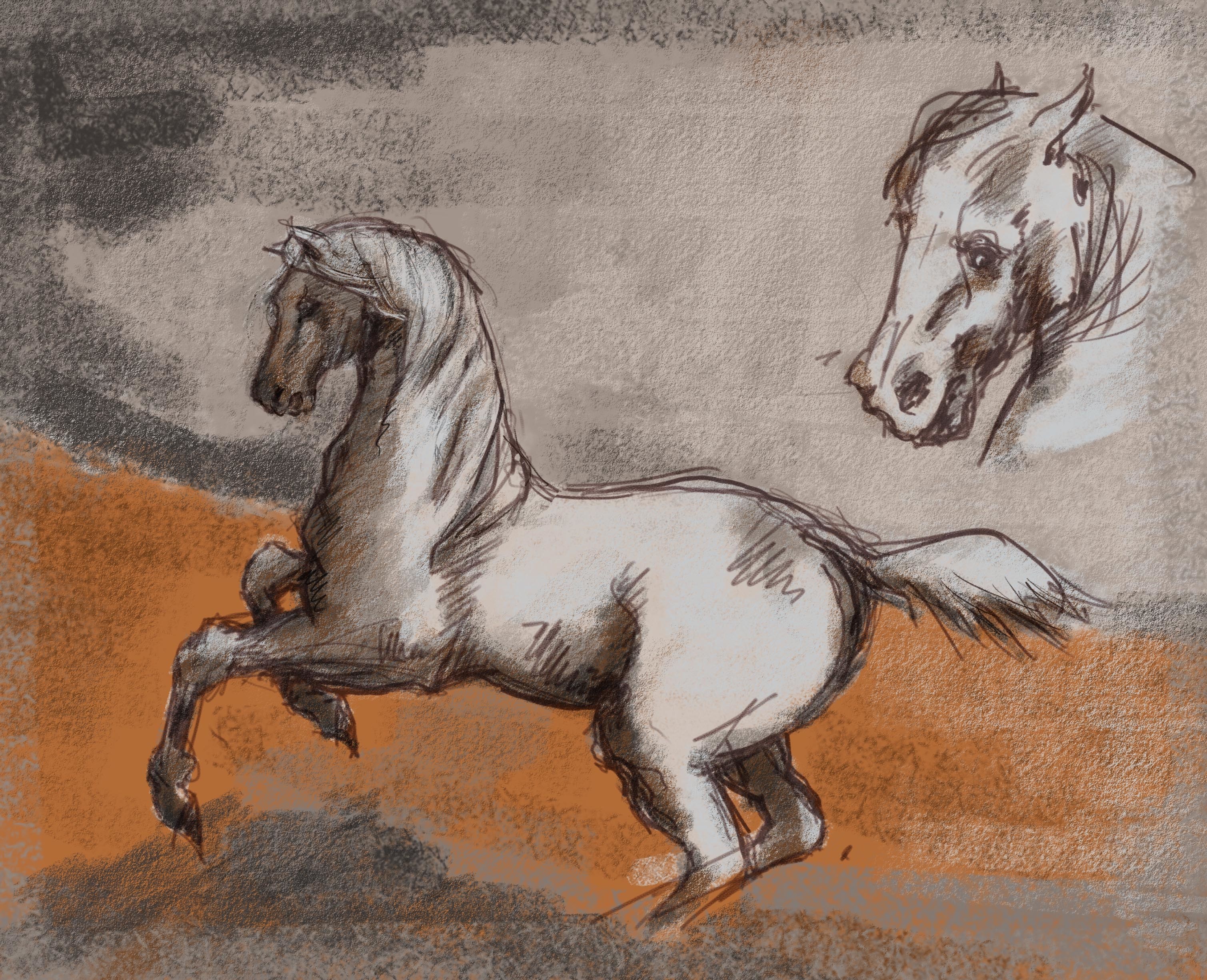 CHEVAUX par cochise