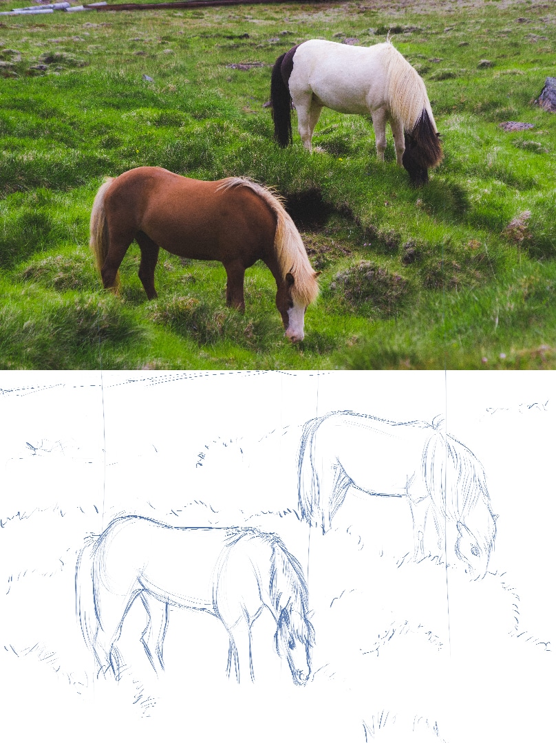 Mes cours 2nd partie 2023-2024 par nova