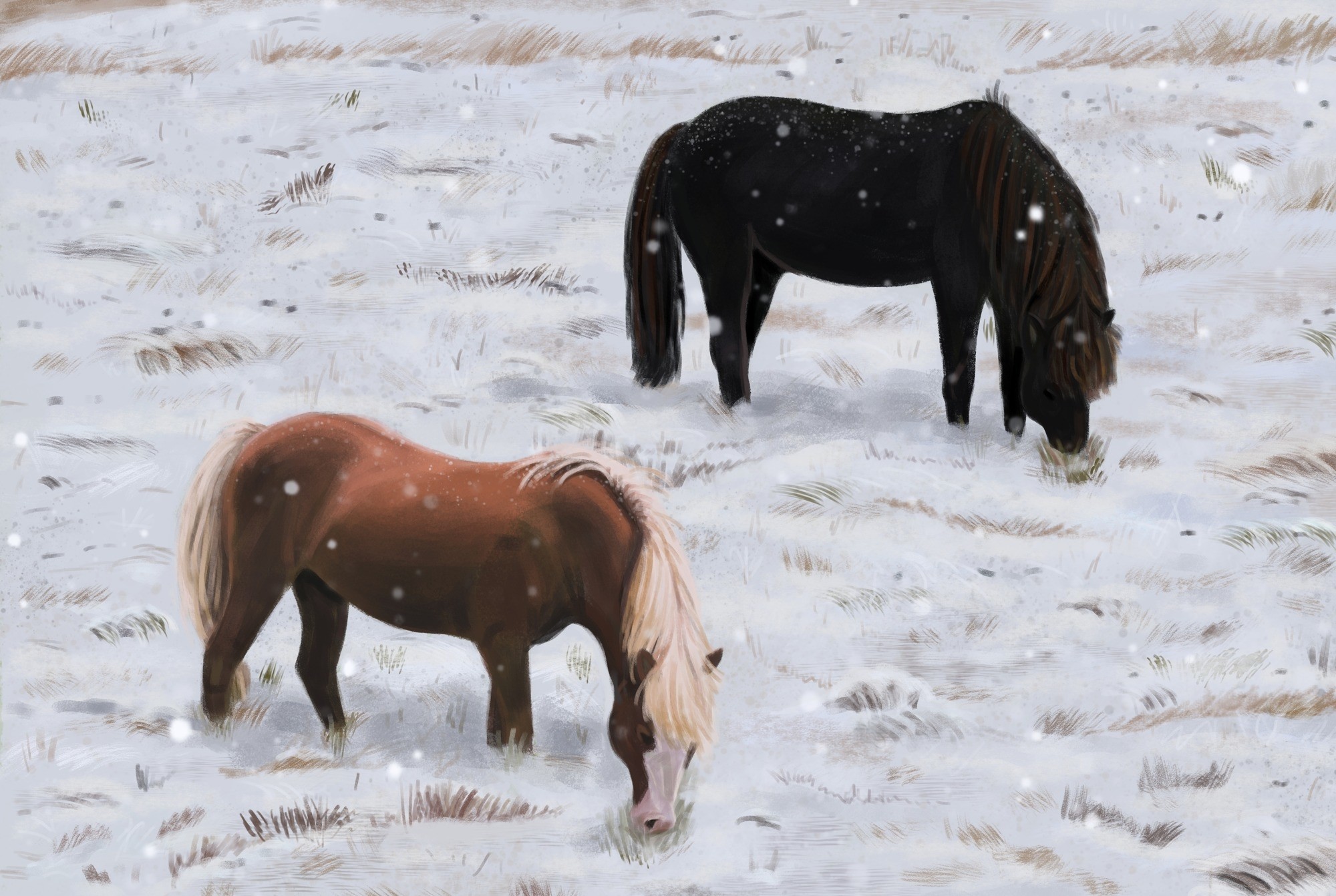 chevaux islandais par Saule