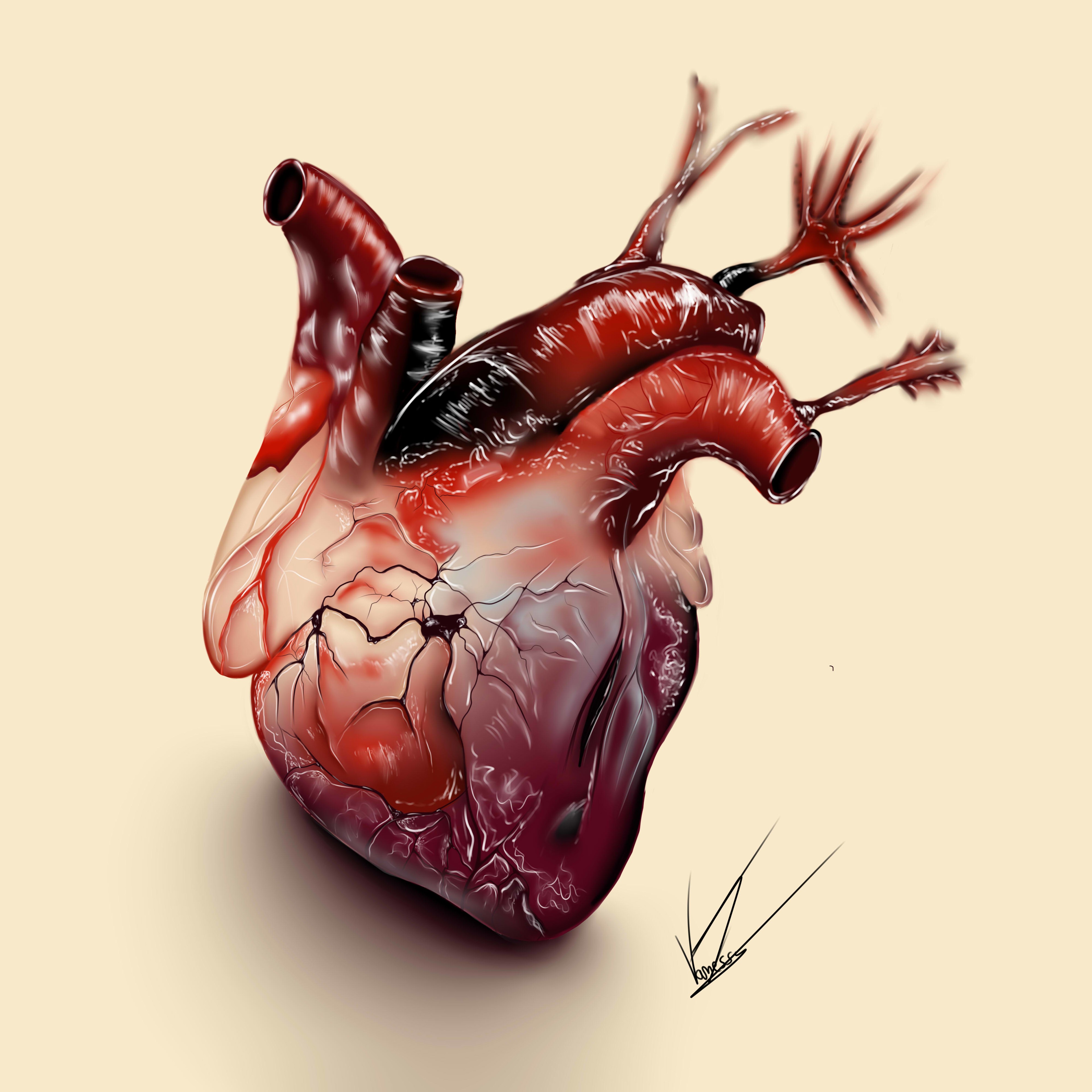 Coeur réaliste par vanessajoly