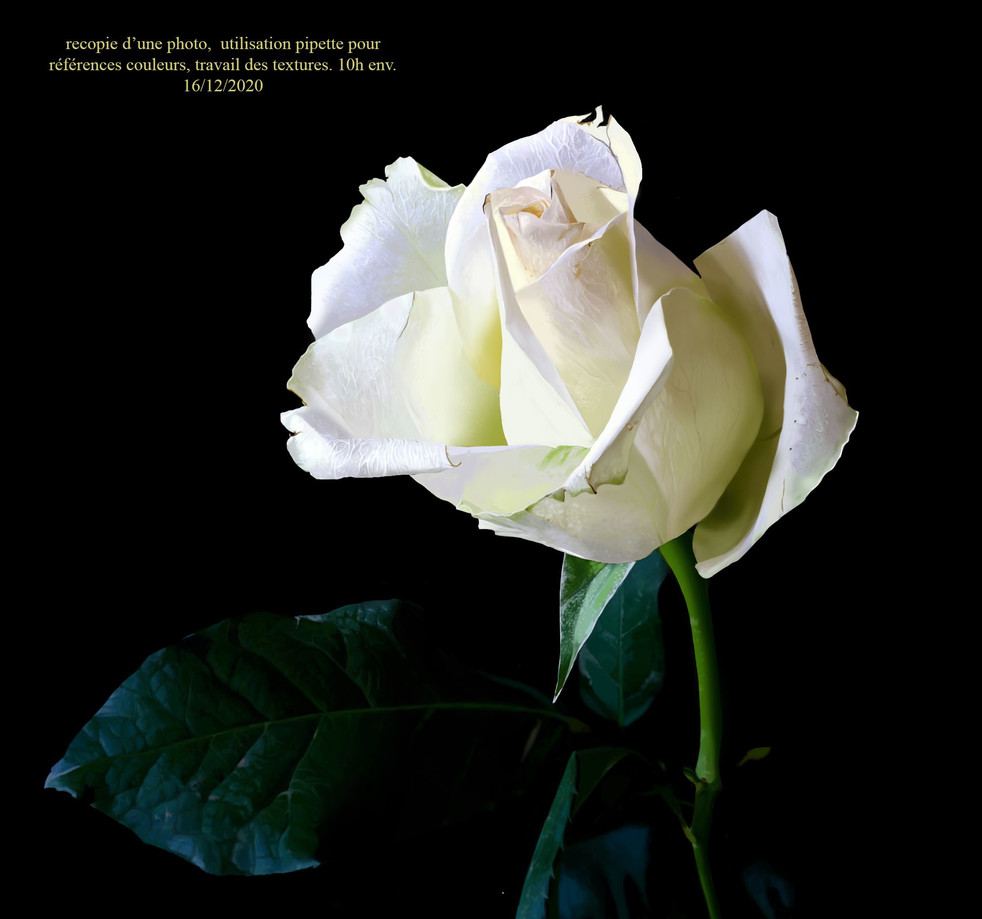 colorisation a l'aide du croquis et lasso Fleur par Acreaz