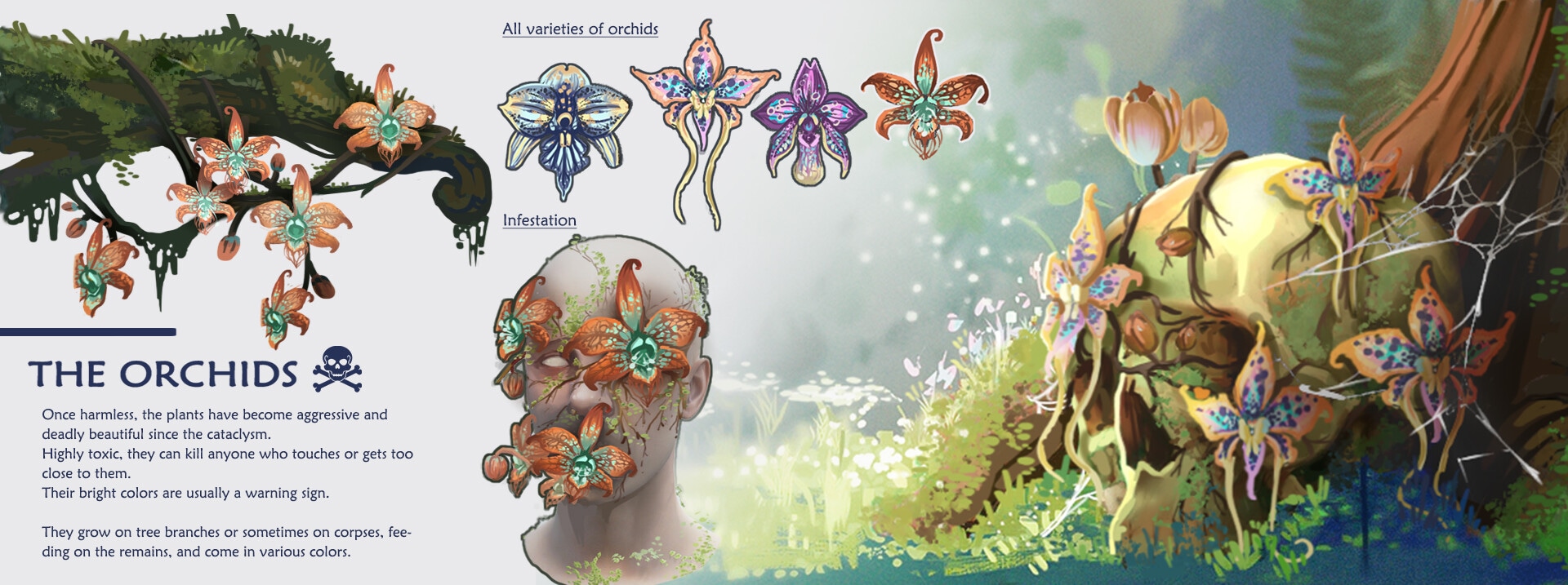 Echos D'Argent par chamsterr