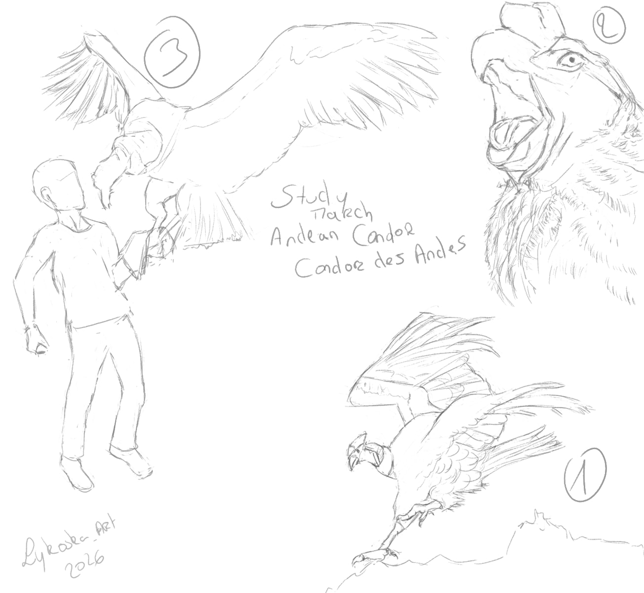 Exo mensuel du mois de mars 2026 par lykoska