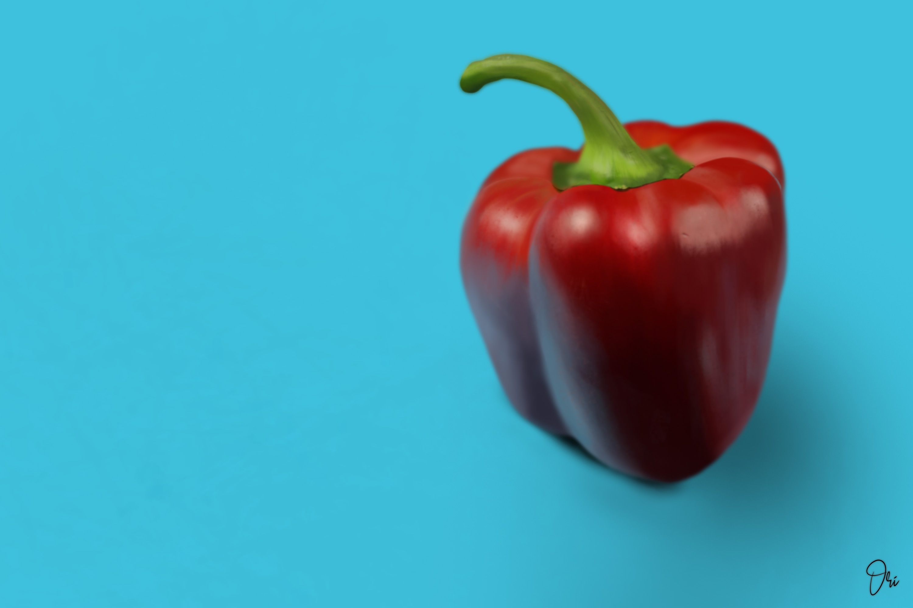 Partie I - chap 1 - exercice 4 : le poivron par ori