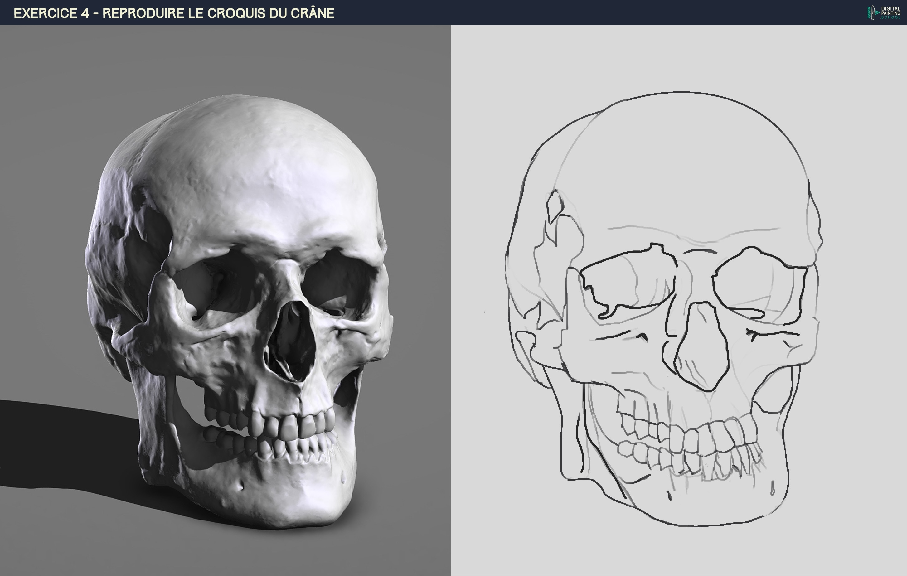 Chapitre 2 - exercices et avancées par Celine