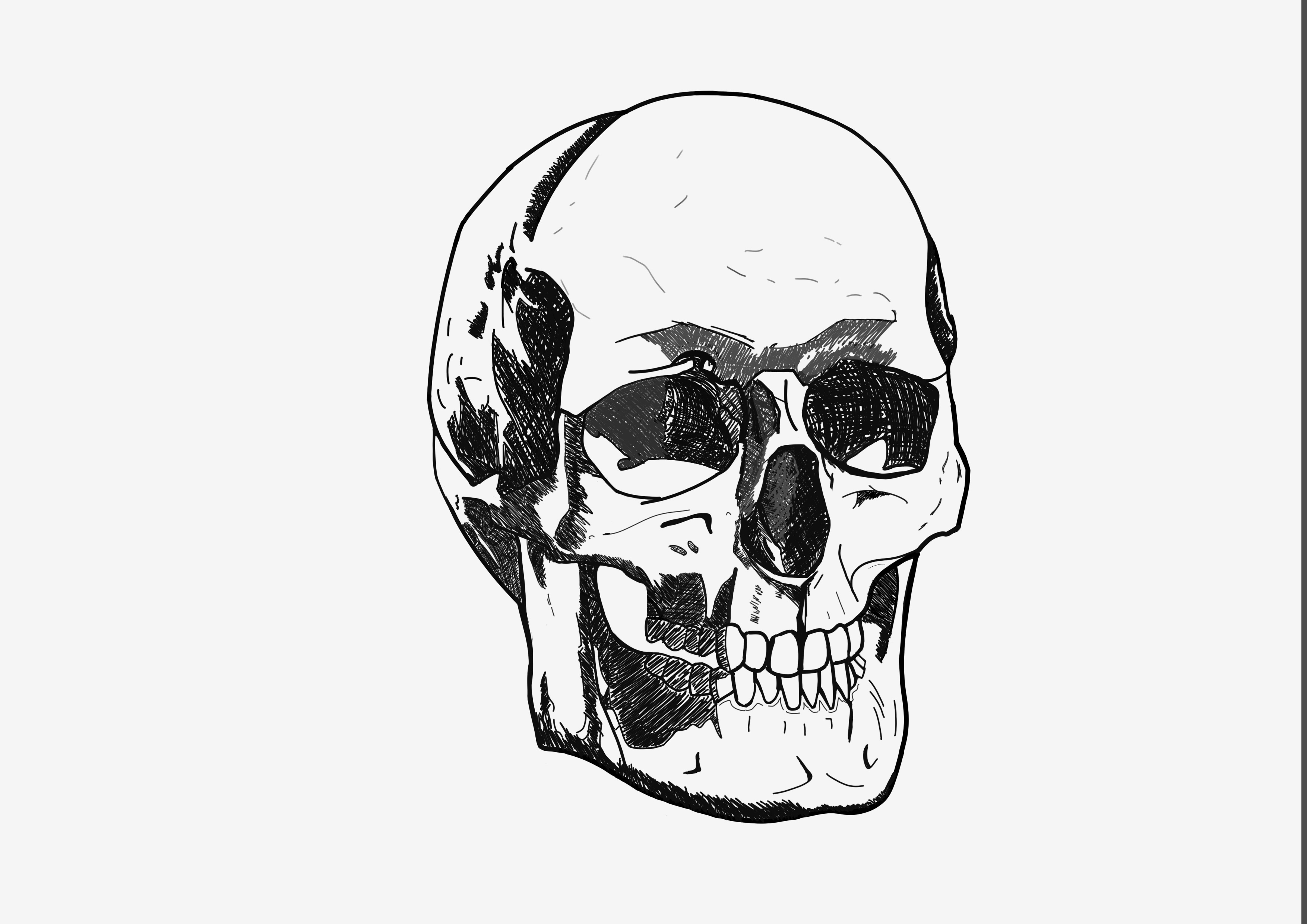 EXERCICE 4 : CRÂNE par NETSU