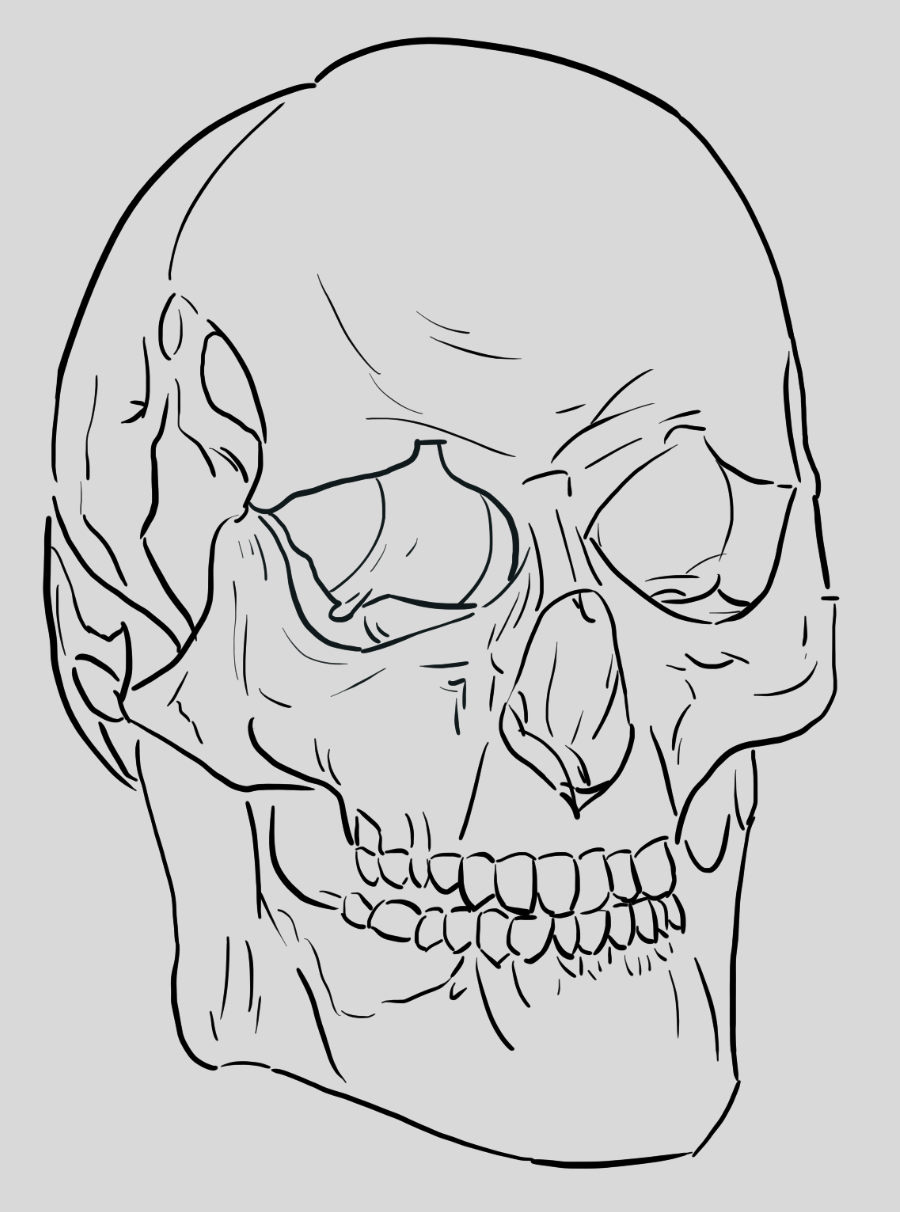 Crâne par MerryDaurey