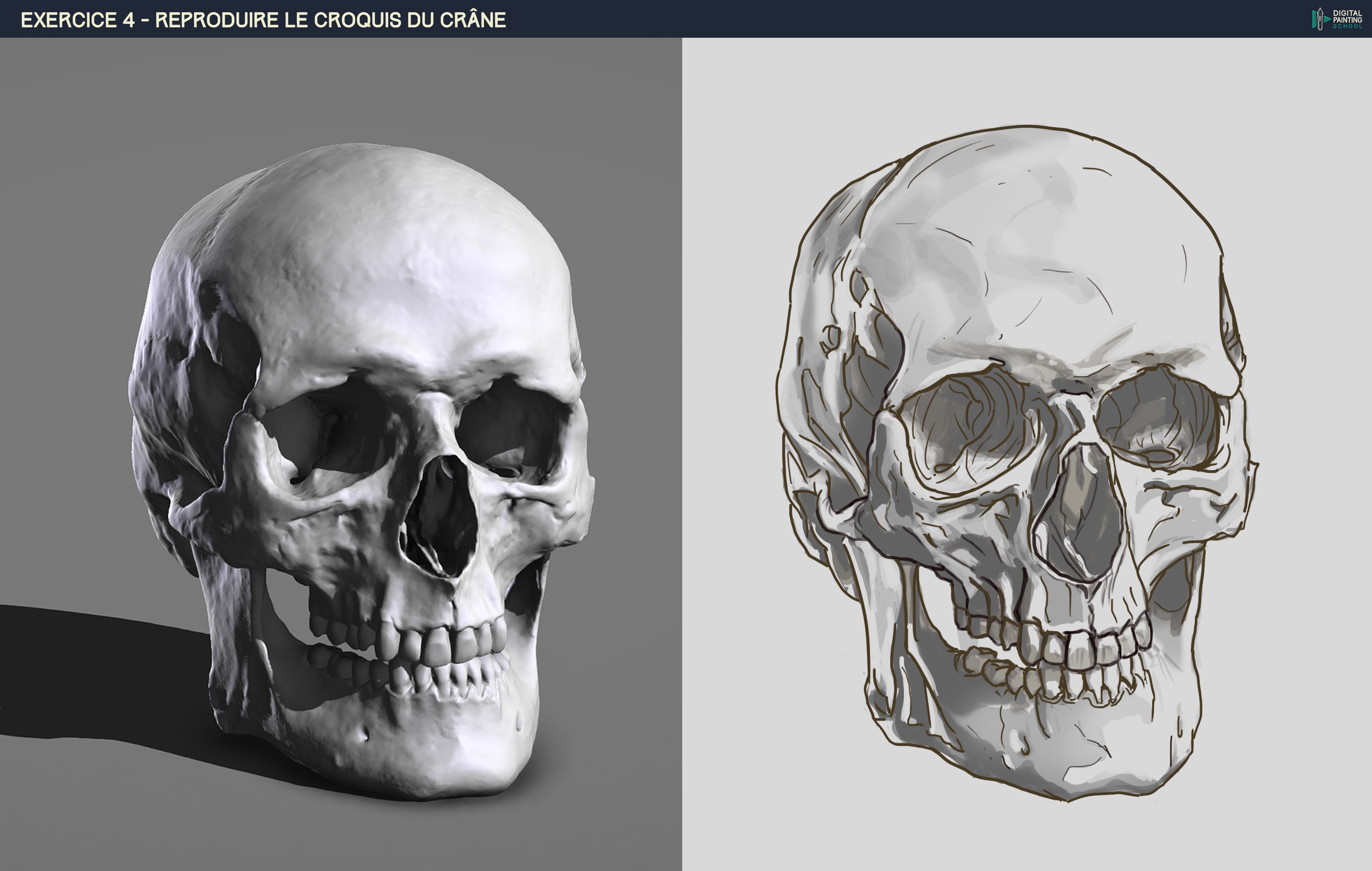 exercice crâne par joss31