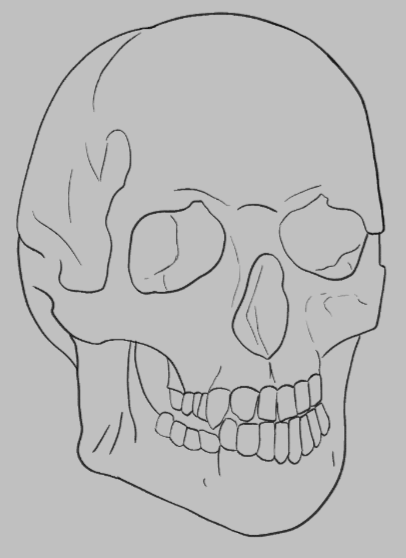 Exercice Crane par ravayra