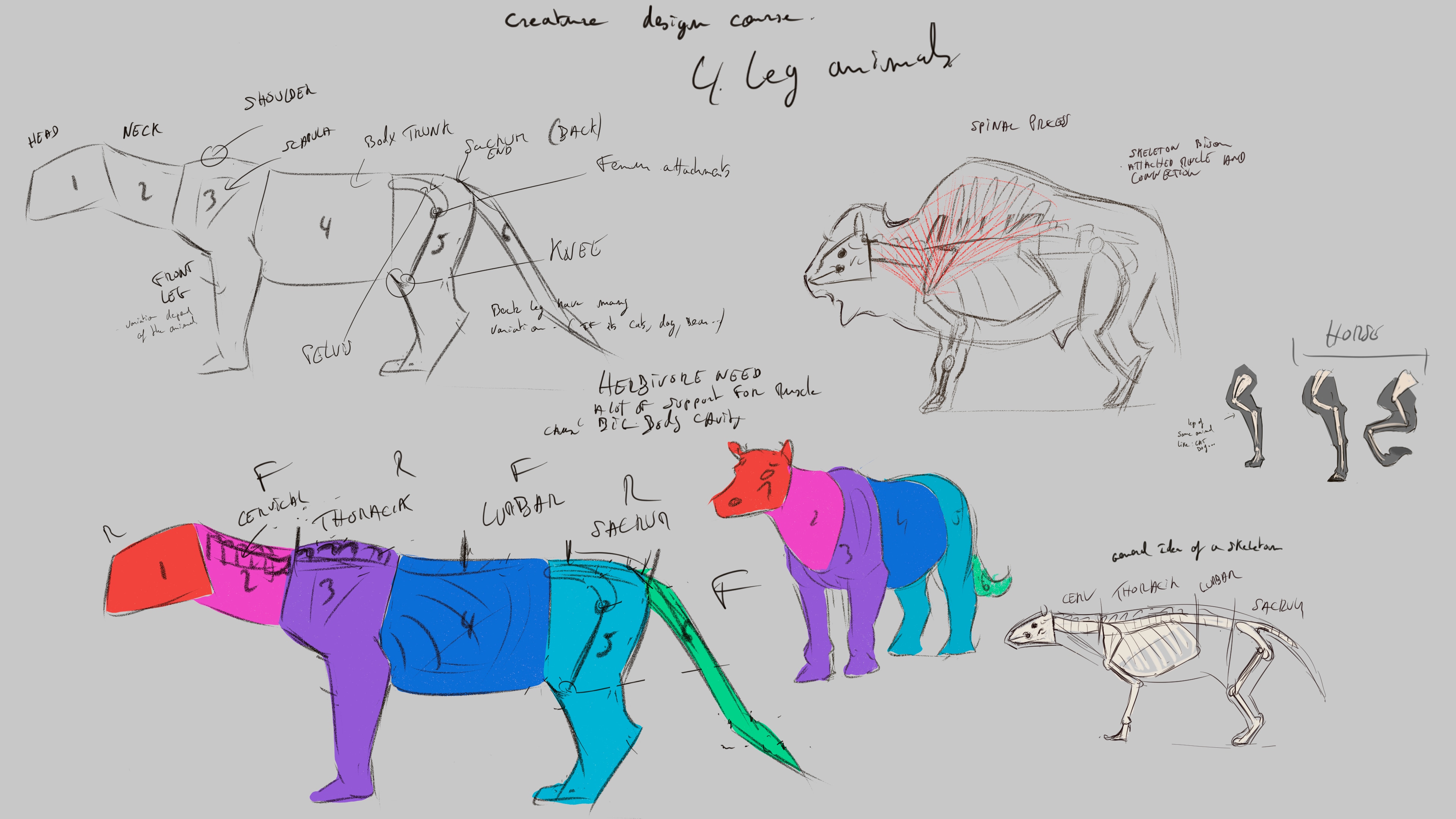 creature design course par KevinTudeau