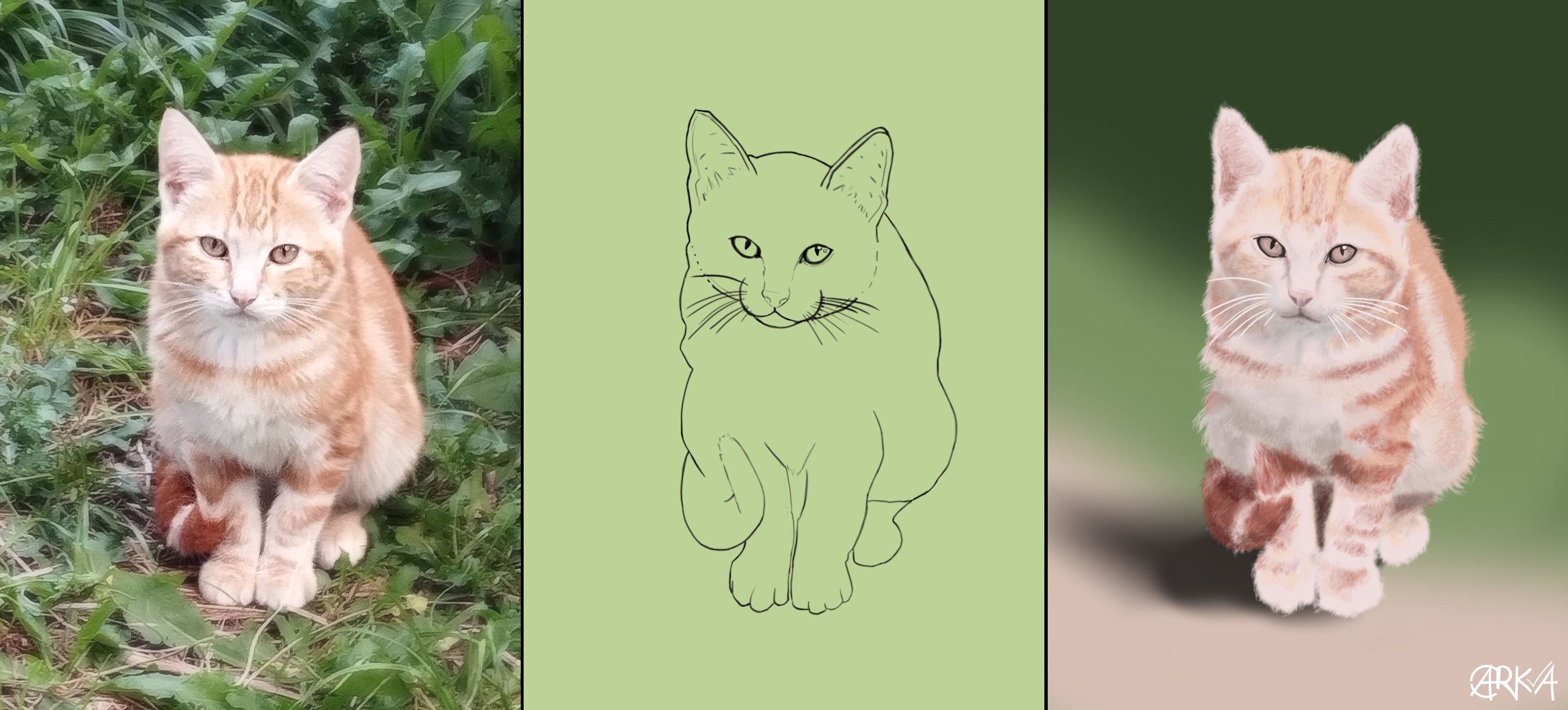 Chapitre2 - Exercice 5 - Chat1 par Arka