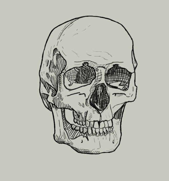 Chapitre 2 : exercice 4 , croquis d'un crâne par Jenny60