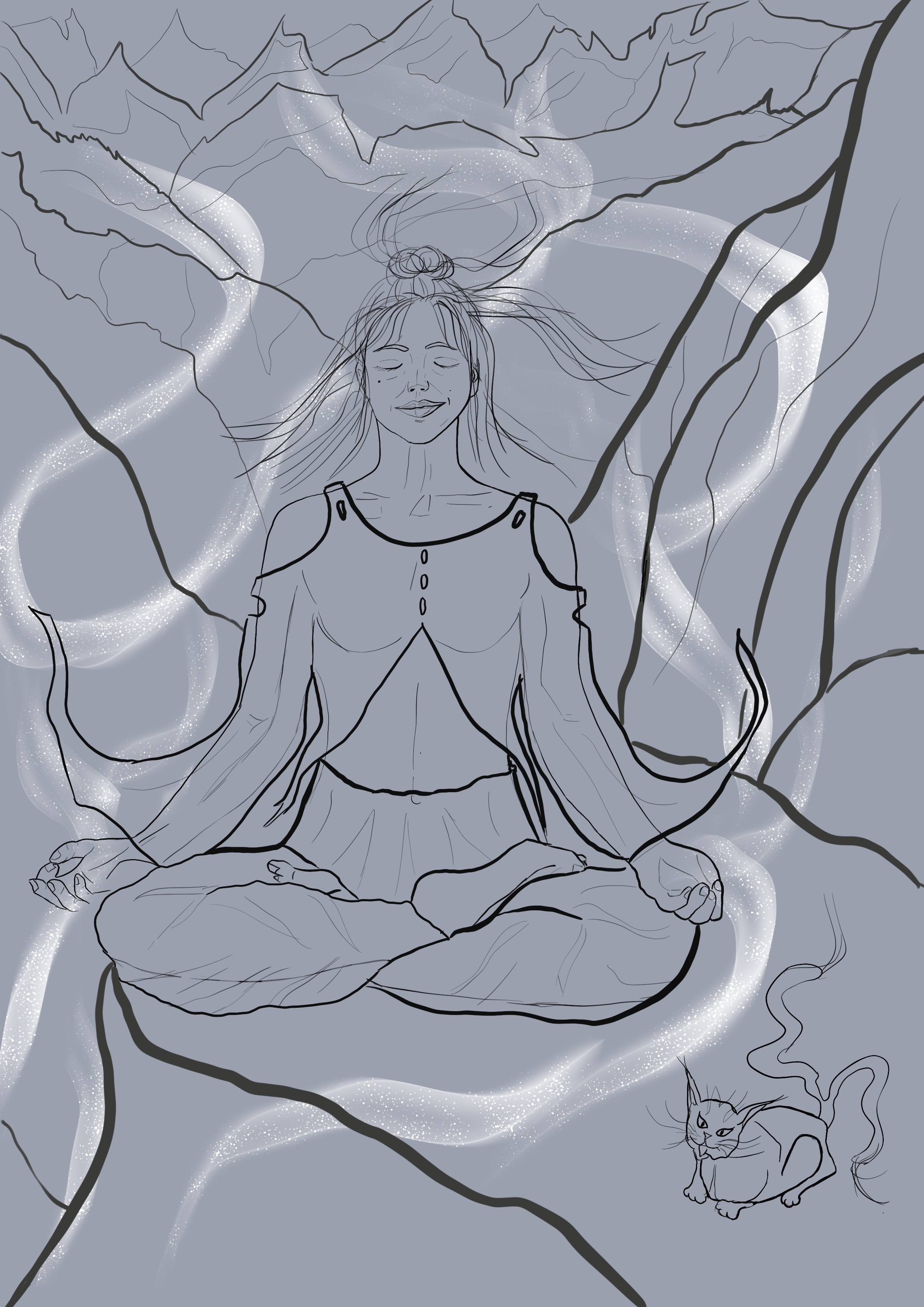 Chap 1.2 exo 7 mon DP « Zaïlla Zen », projet jaquette Romantazy B3M par Image.In.R