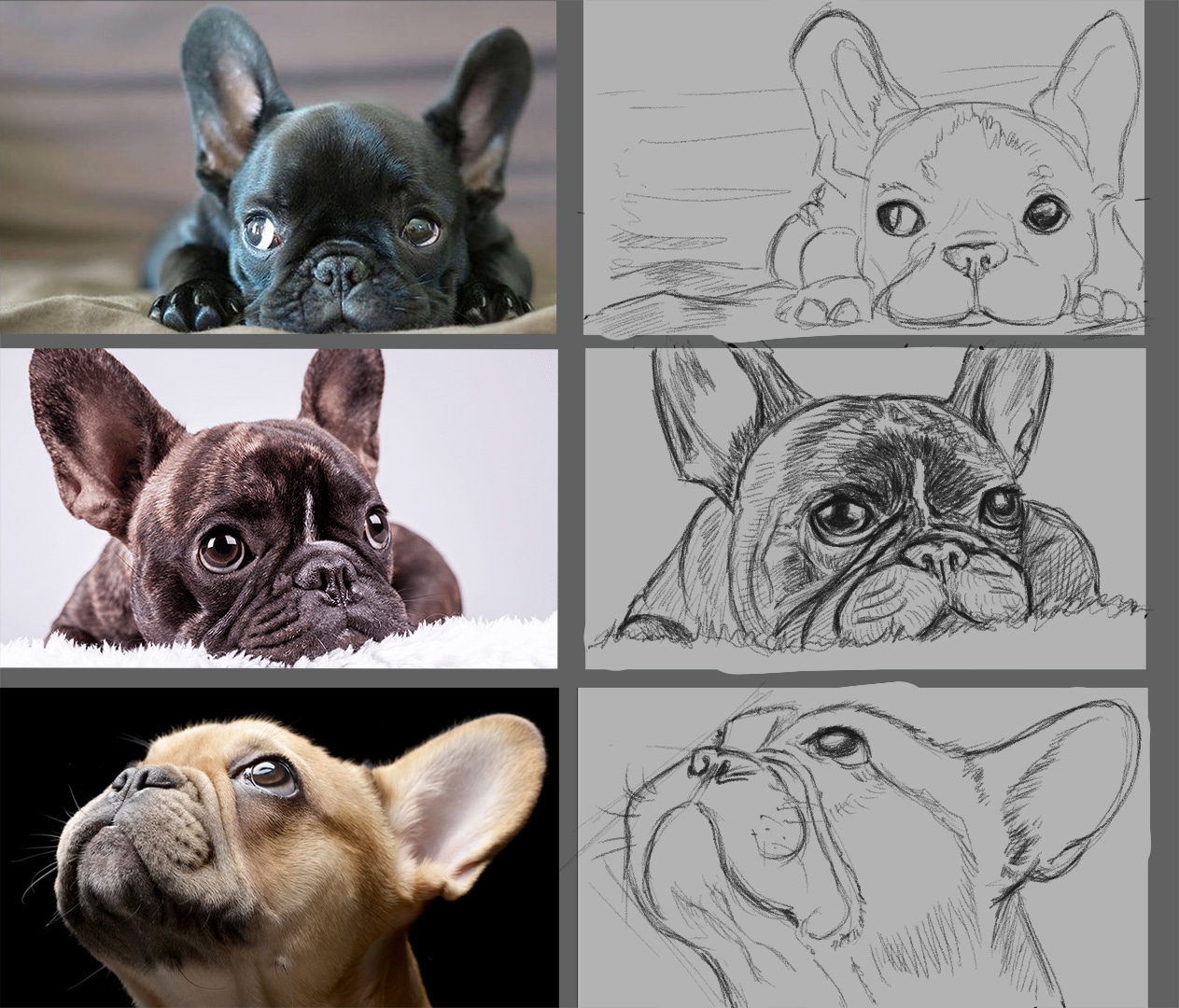 Mes cours 1ère partie 2023 par nova