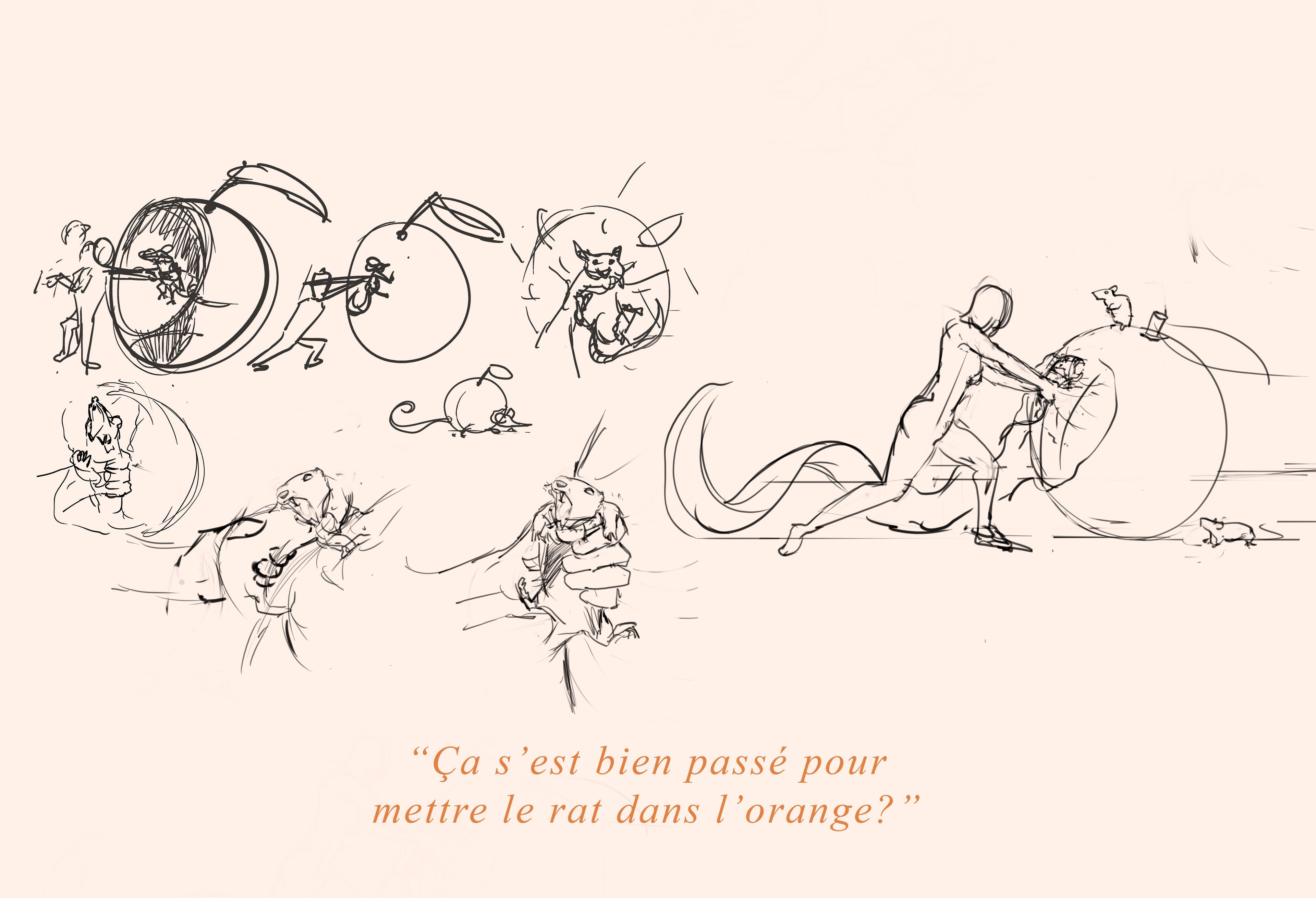 Ça s'est bien passé pour mettre le rat dans l'orange ? par Rémy