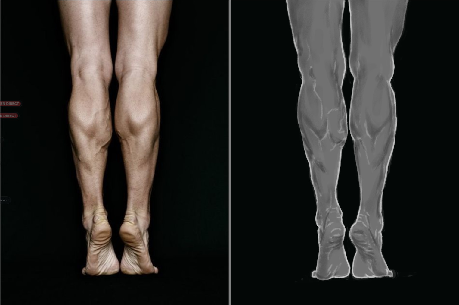 Défi de Janvier 2026 : Etudes d'anatomie par fomw