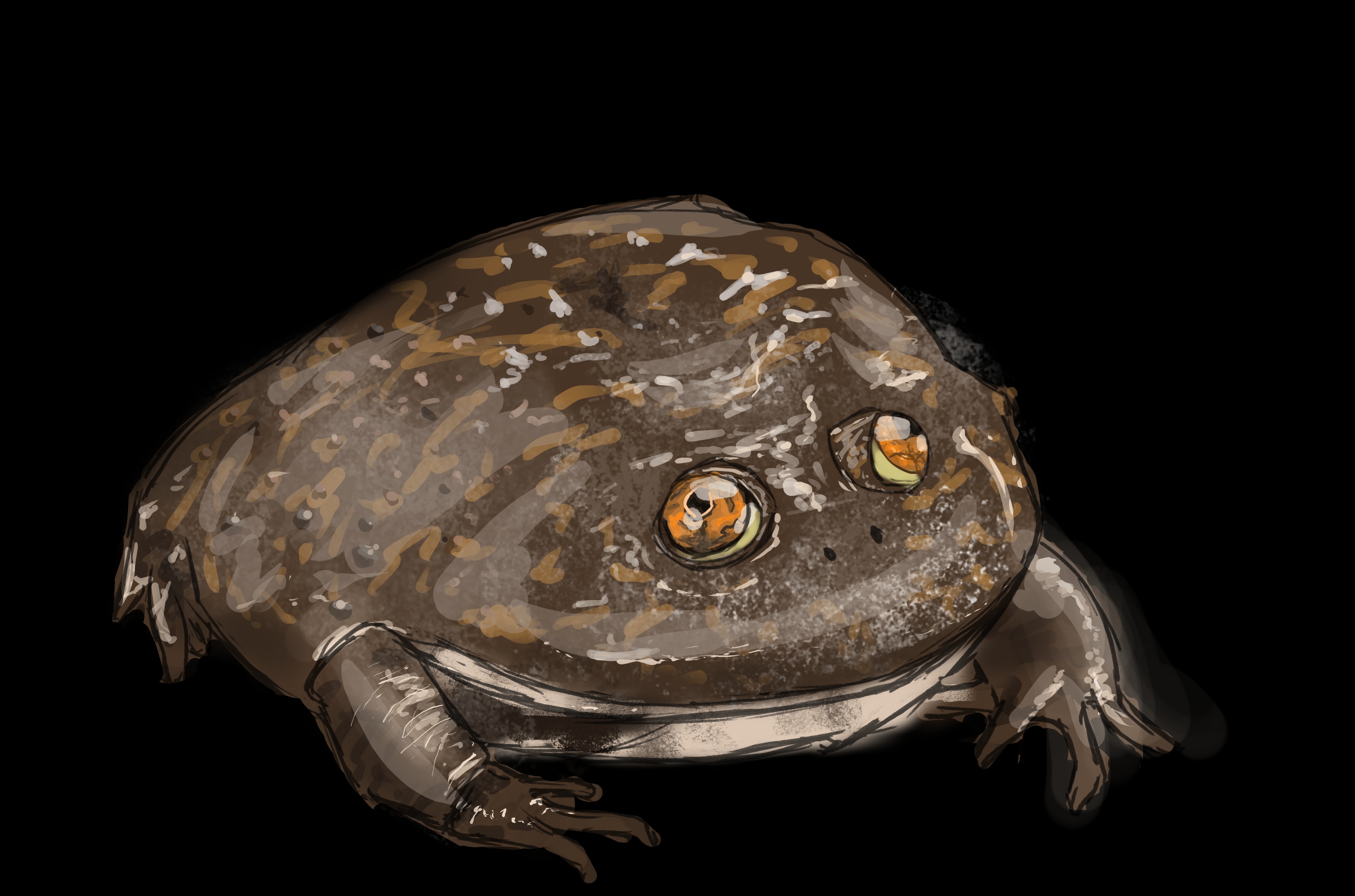 Défi de Mars 2026 : Anatomie animalière par fomw