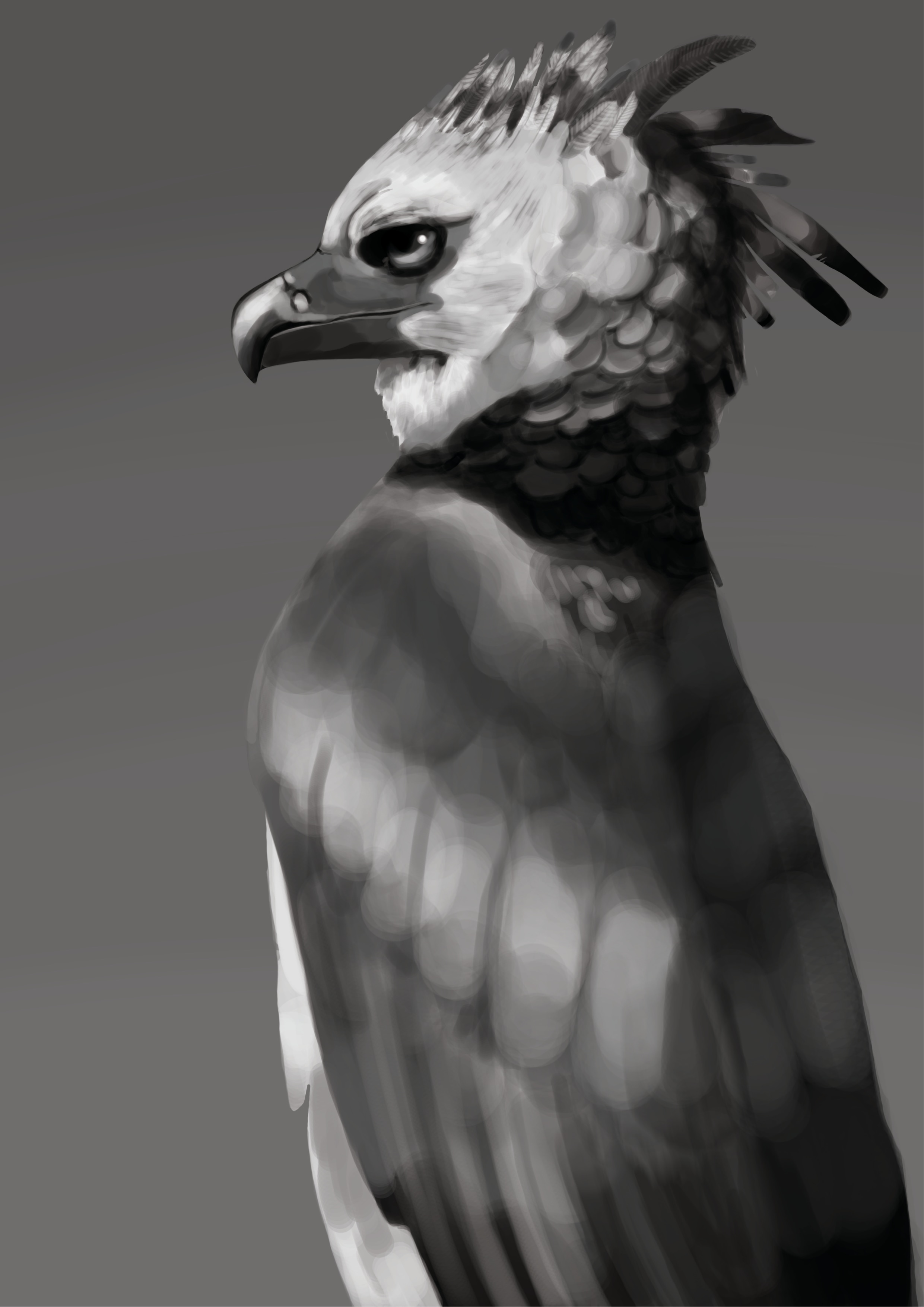 Harpie féroce par Alicia_bsq