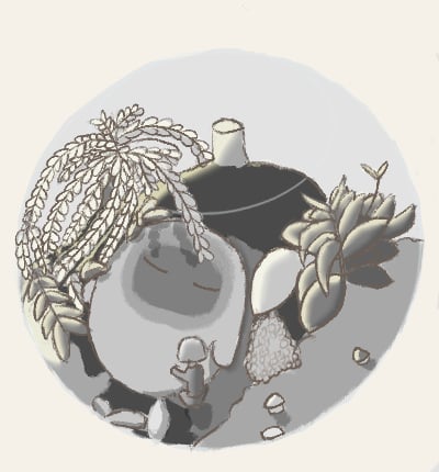 Dessin terrarium par Nanax