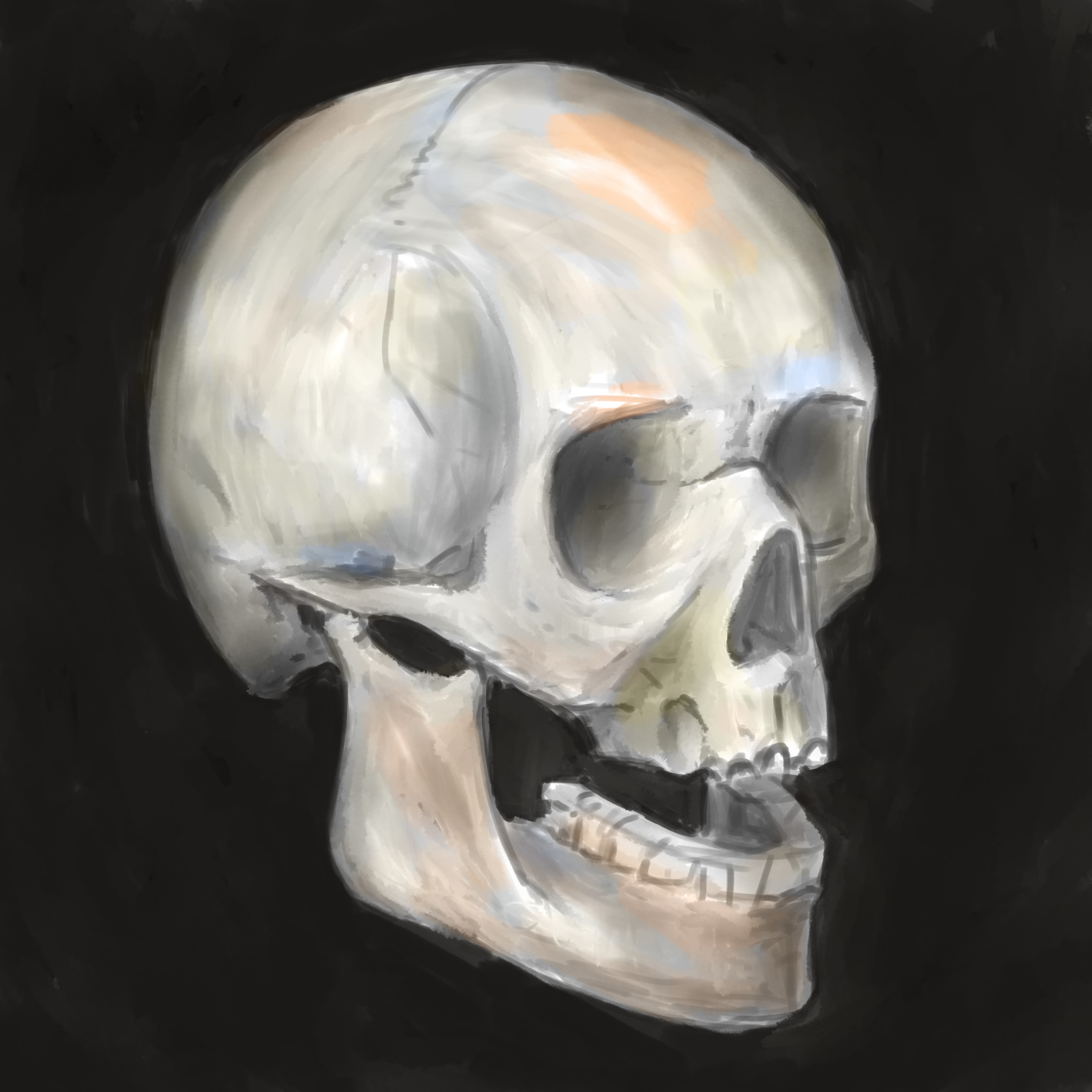 Crâne humain par crudy