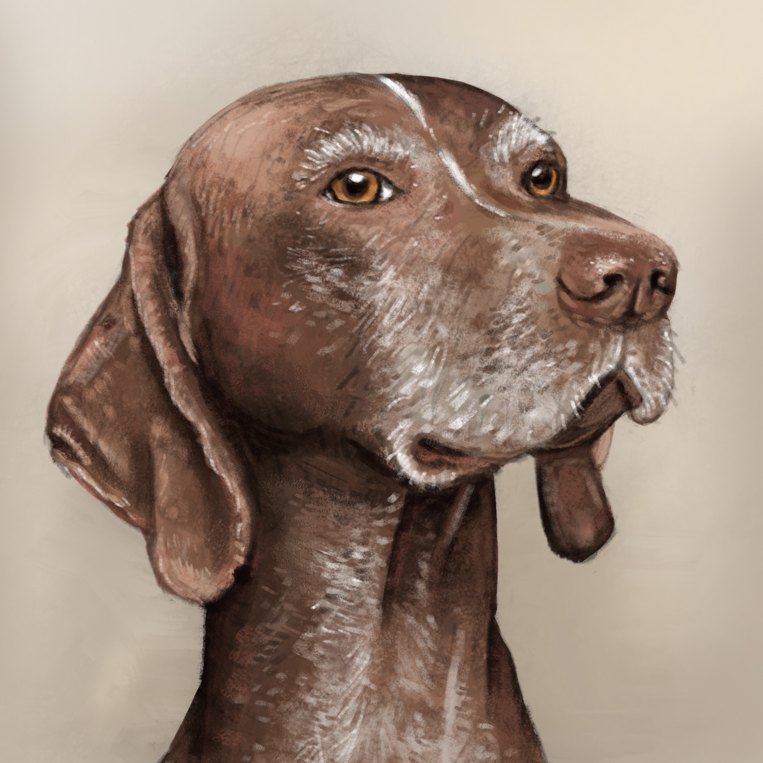Portrait d’un chien par crudy