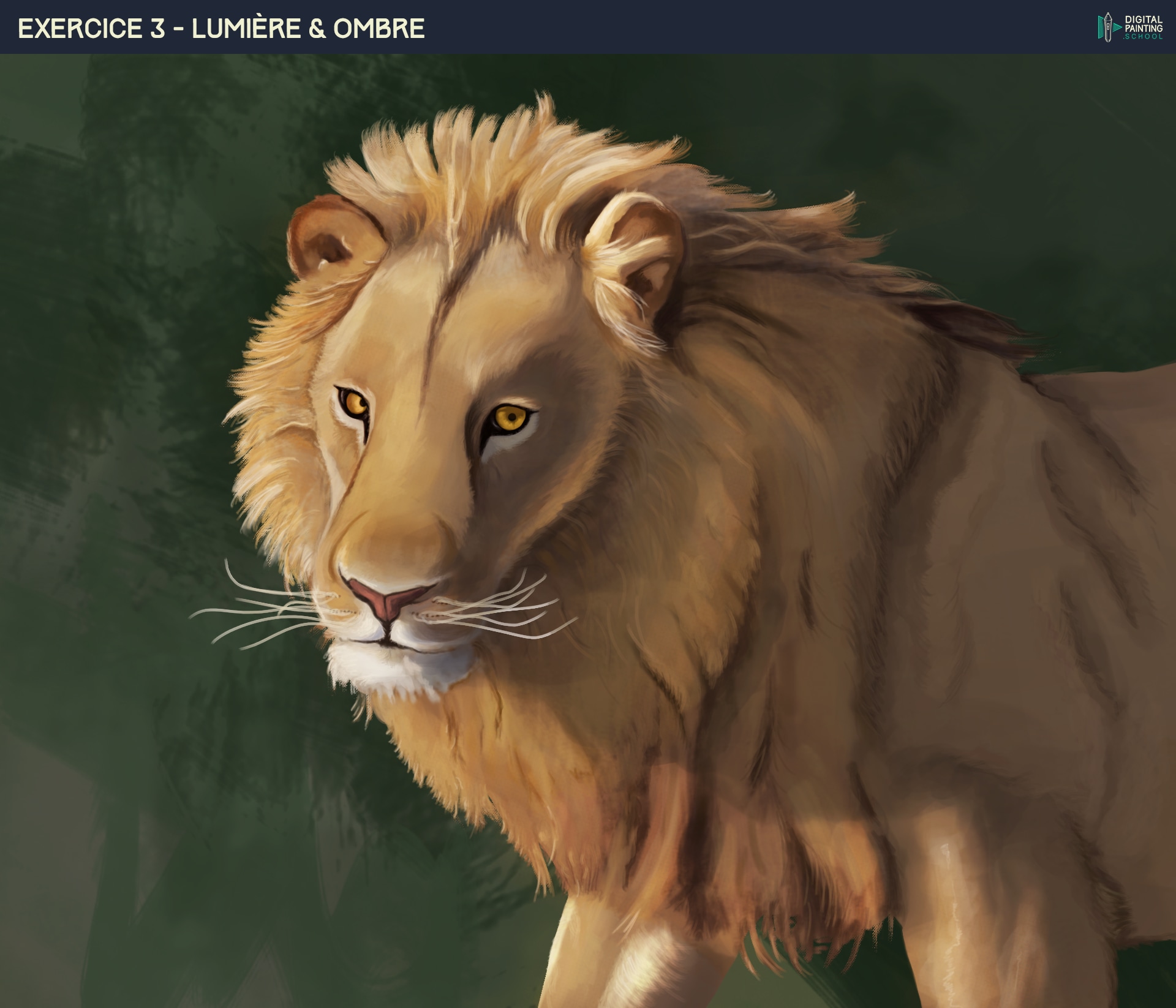 Chapitre 7 : Exercice 3 | Ombre et lumière en colorisation indirecte par krello