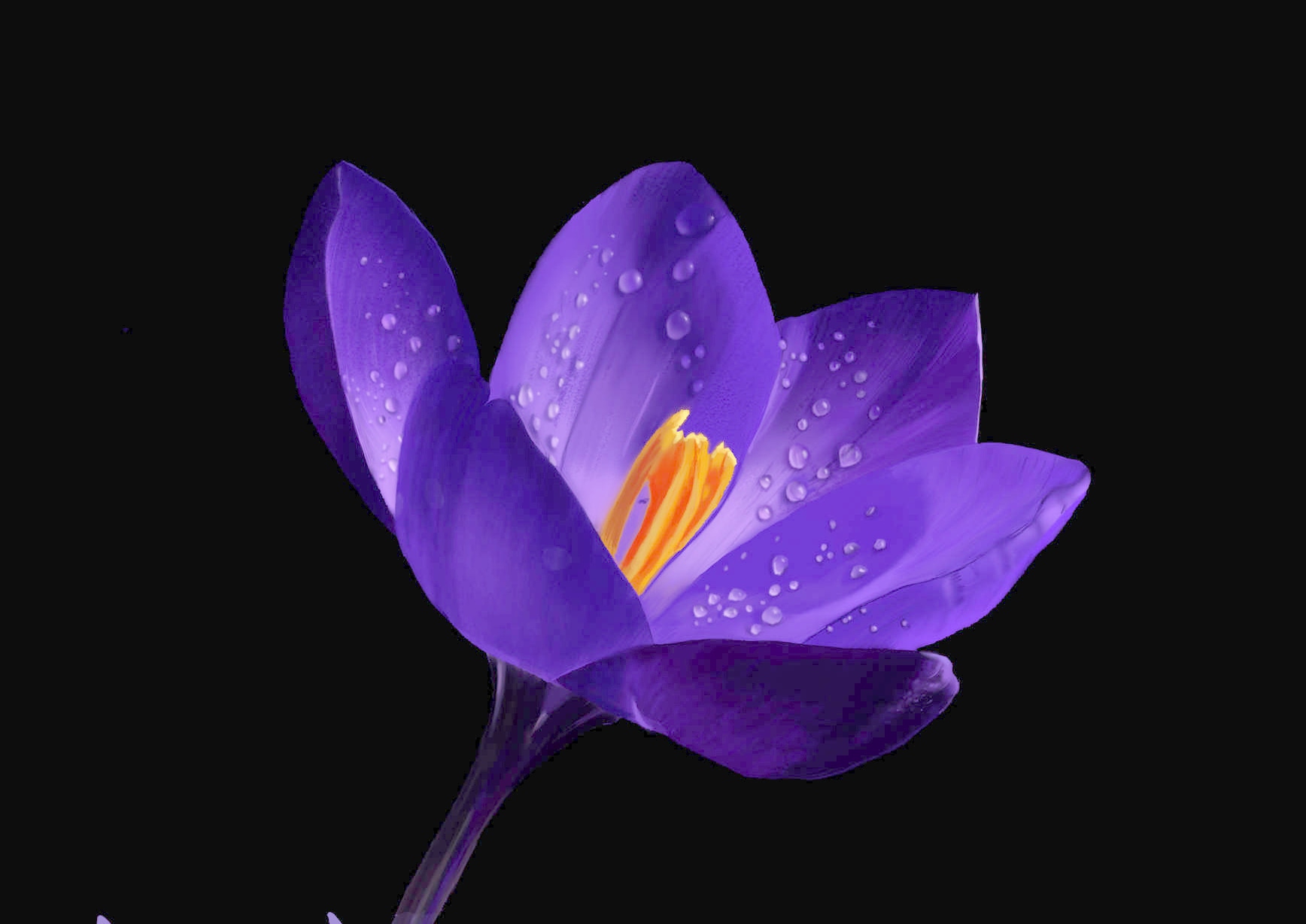 Exercice 4 chapitre 9 Partie 1 par Eressëa