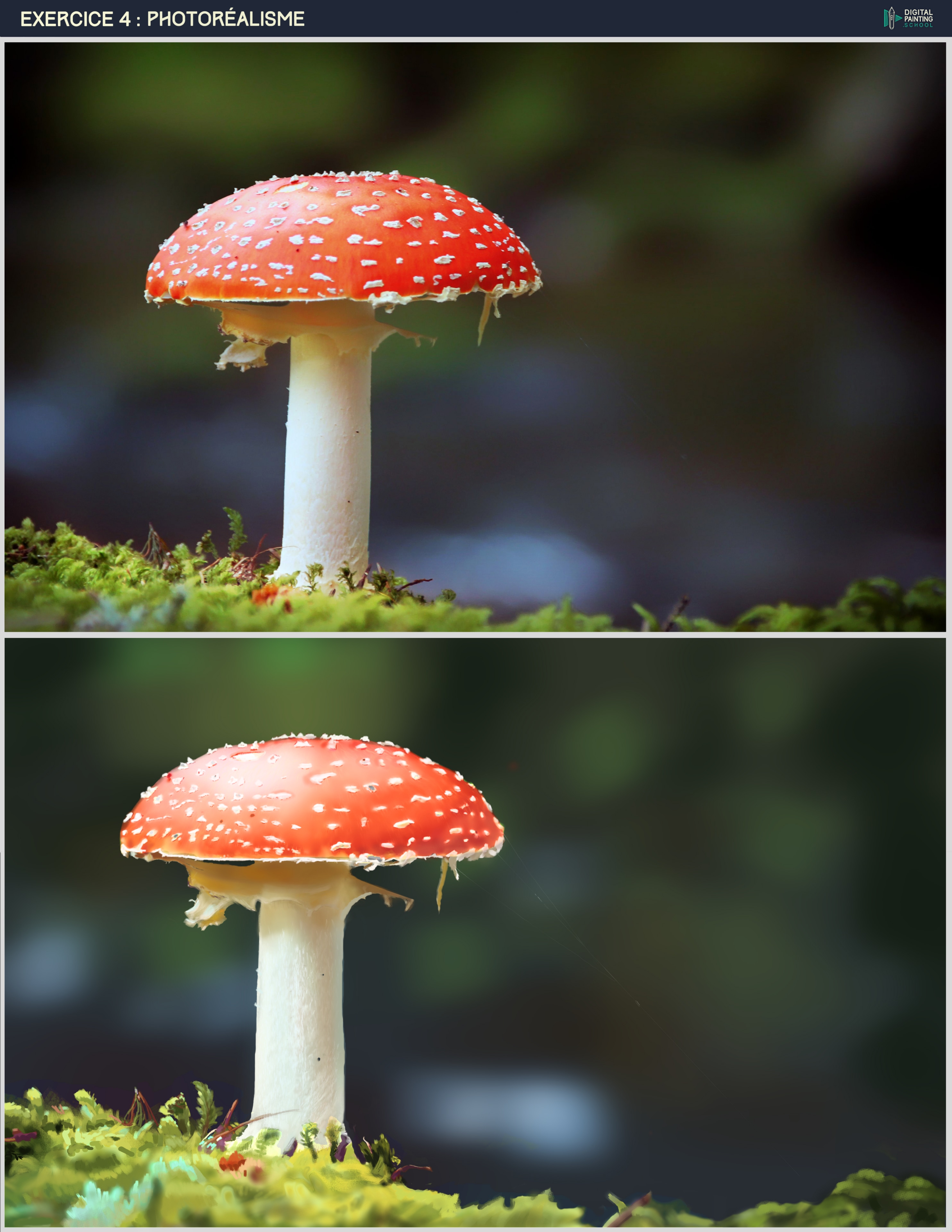 Exercice  chap 9 Champignon photorealisme par D4rk_P3pito
