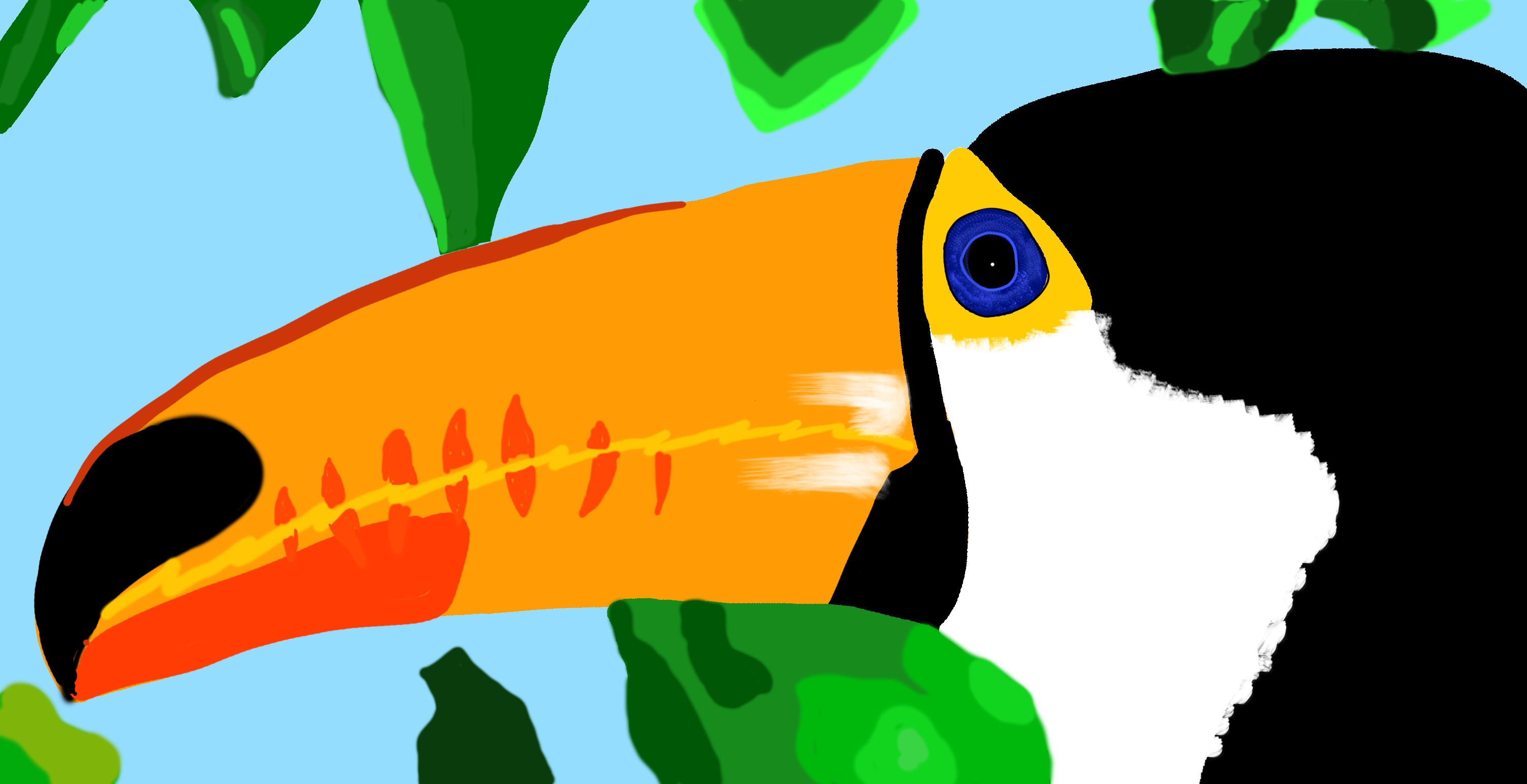 DPS chapitre 0 exercice 1 (Toucan) par claryweidmann