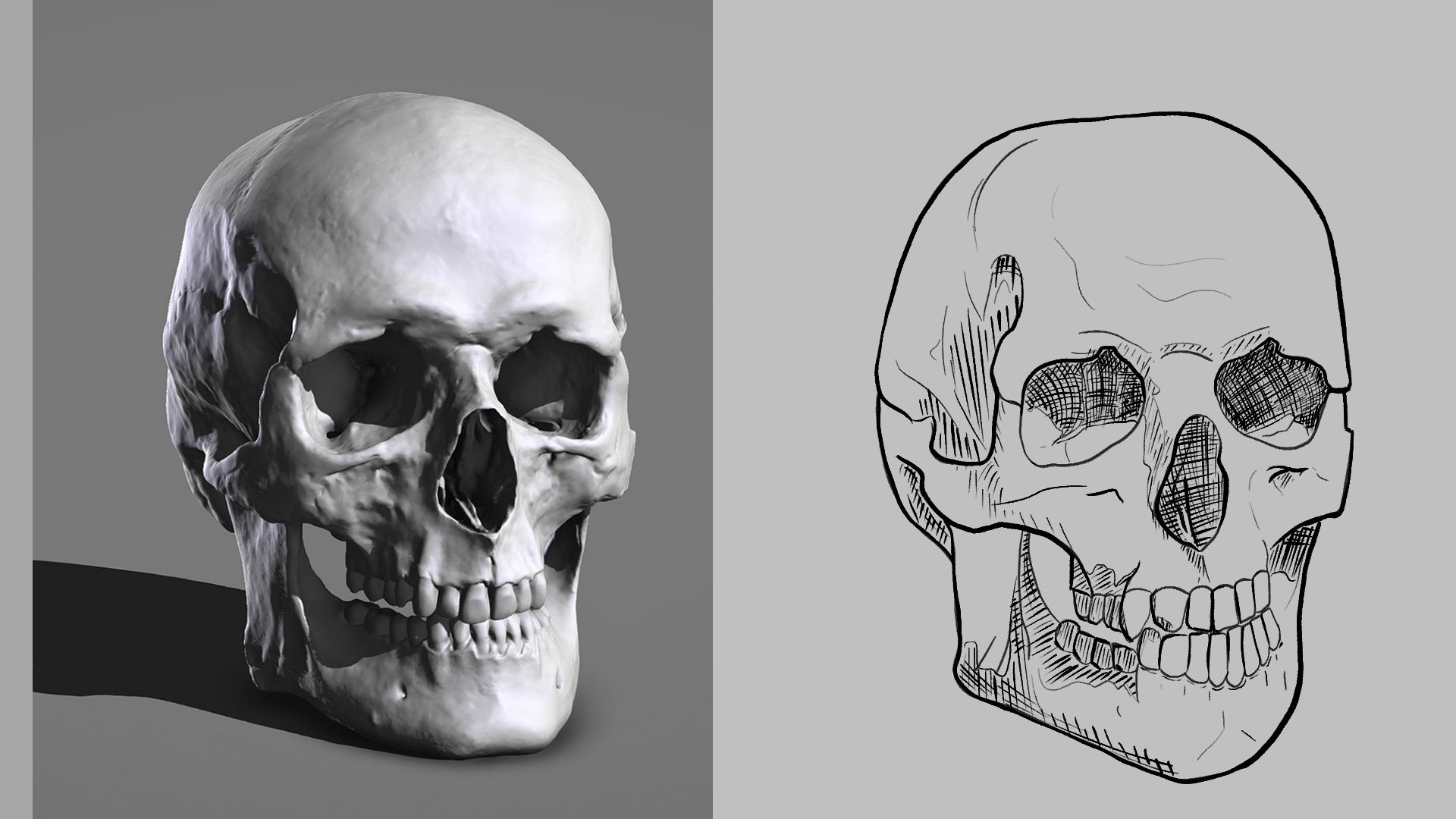 Exercice Crane par ravayra