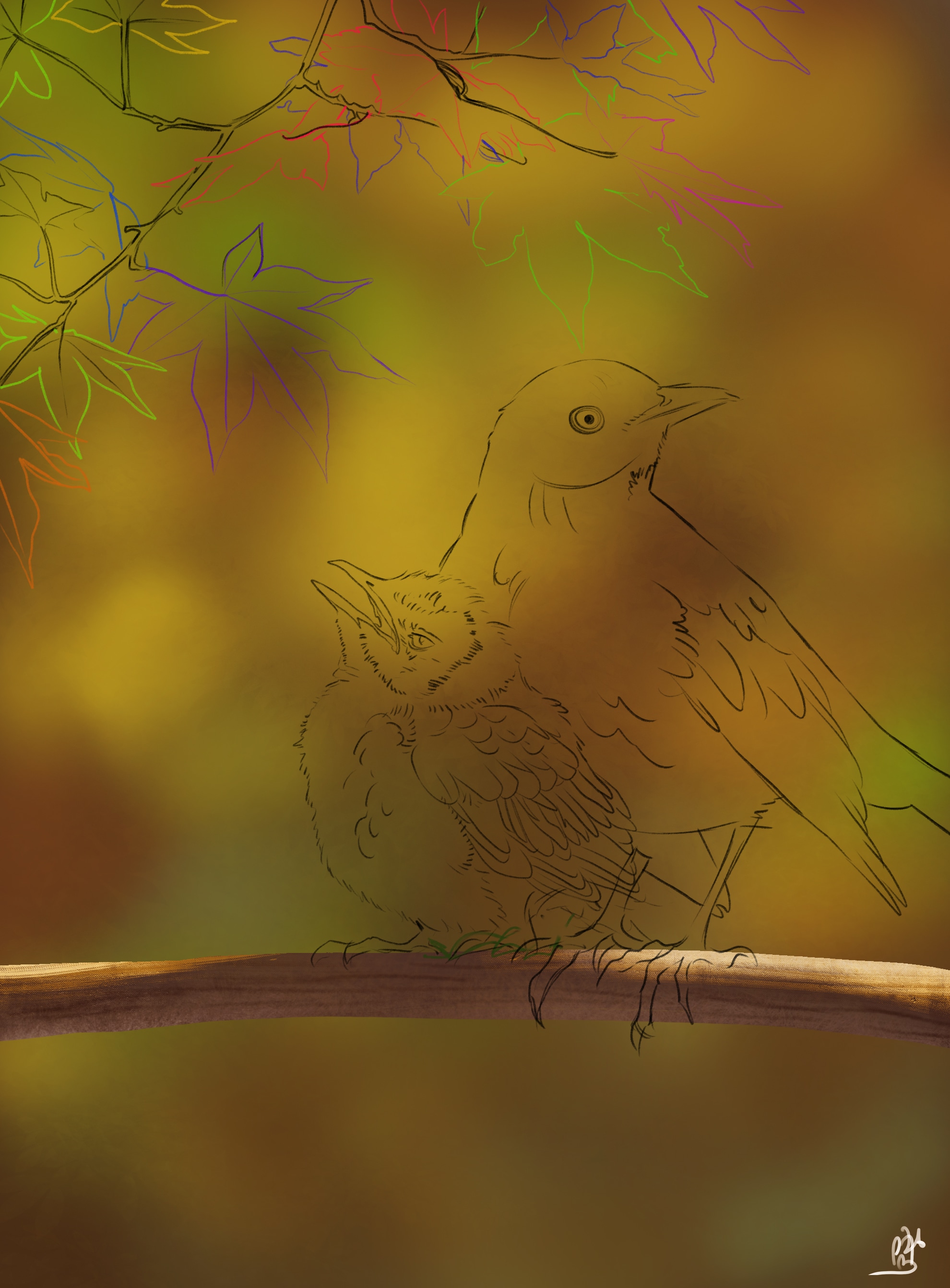 Avancement du croquis des oiseaux (étape 2) ! par polya