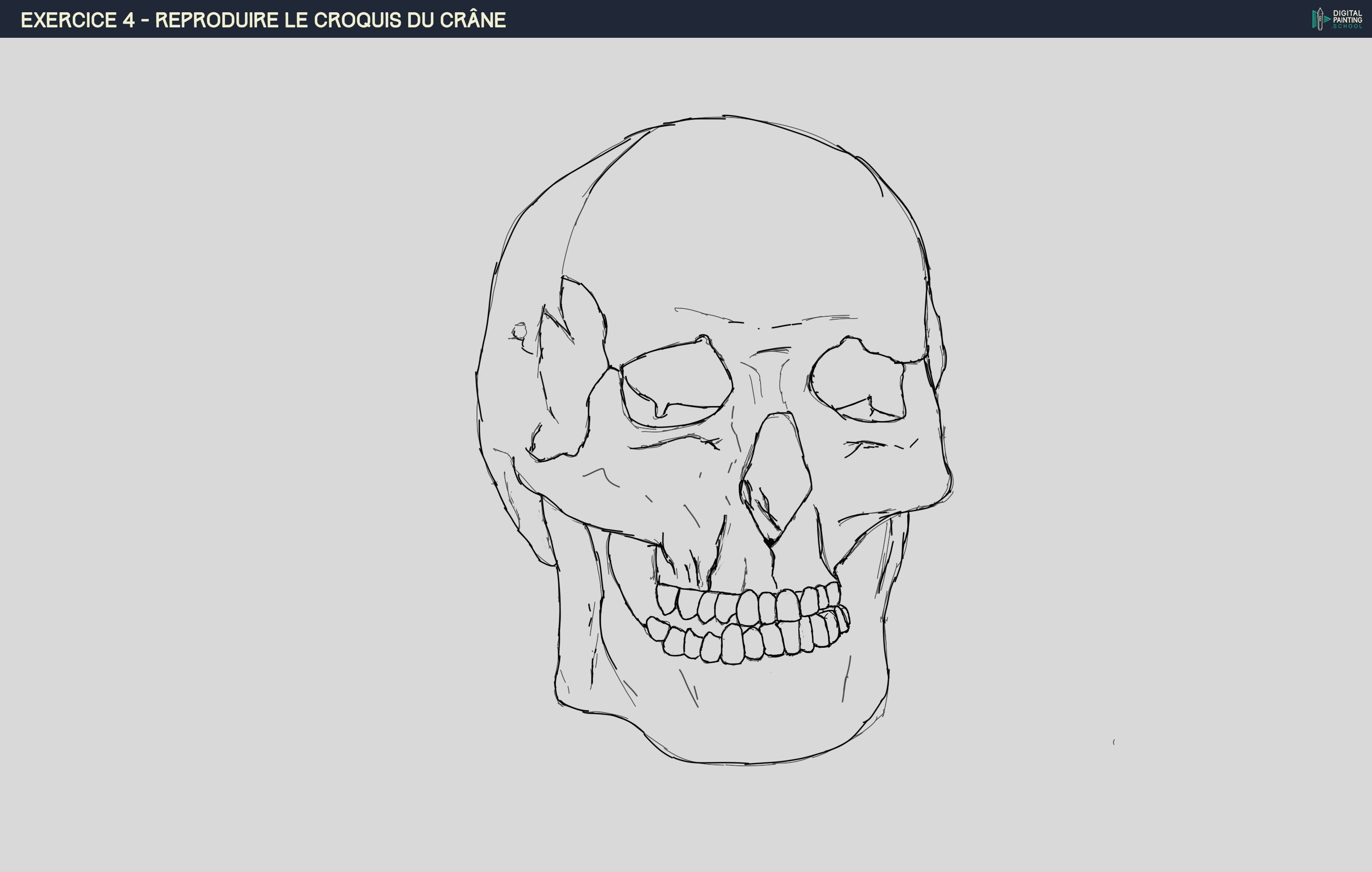 DPS-Prog-1-2-2-démo-crane-croquis par Dorian